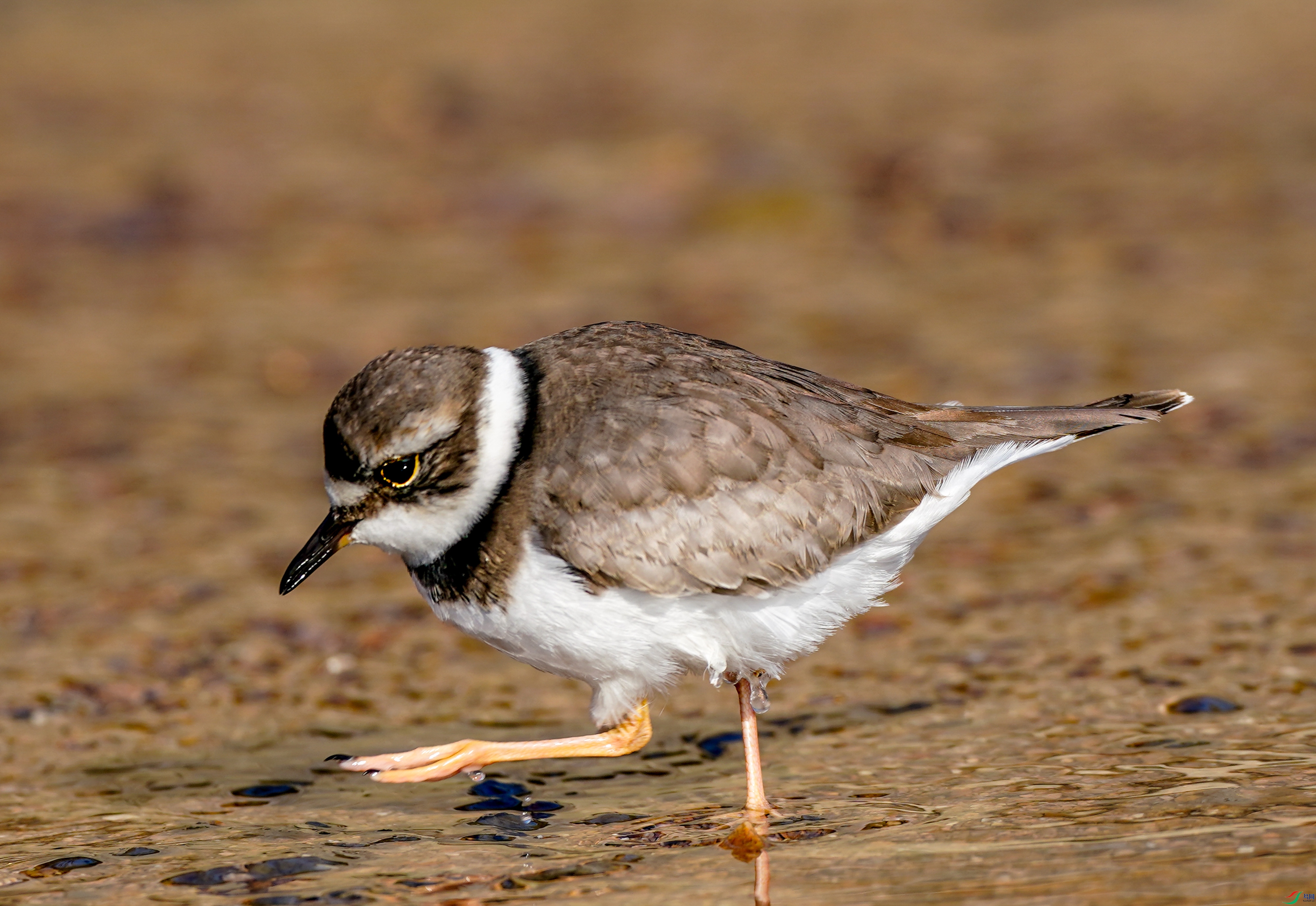 �a_6.jpg