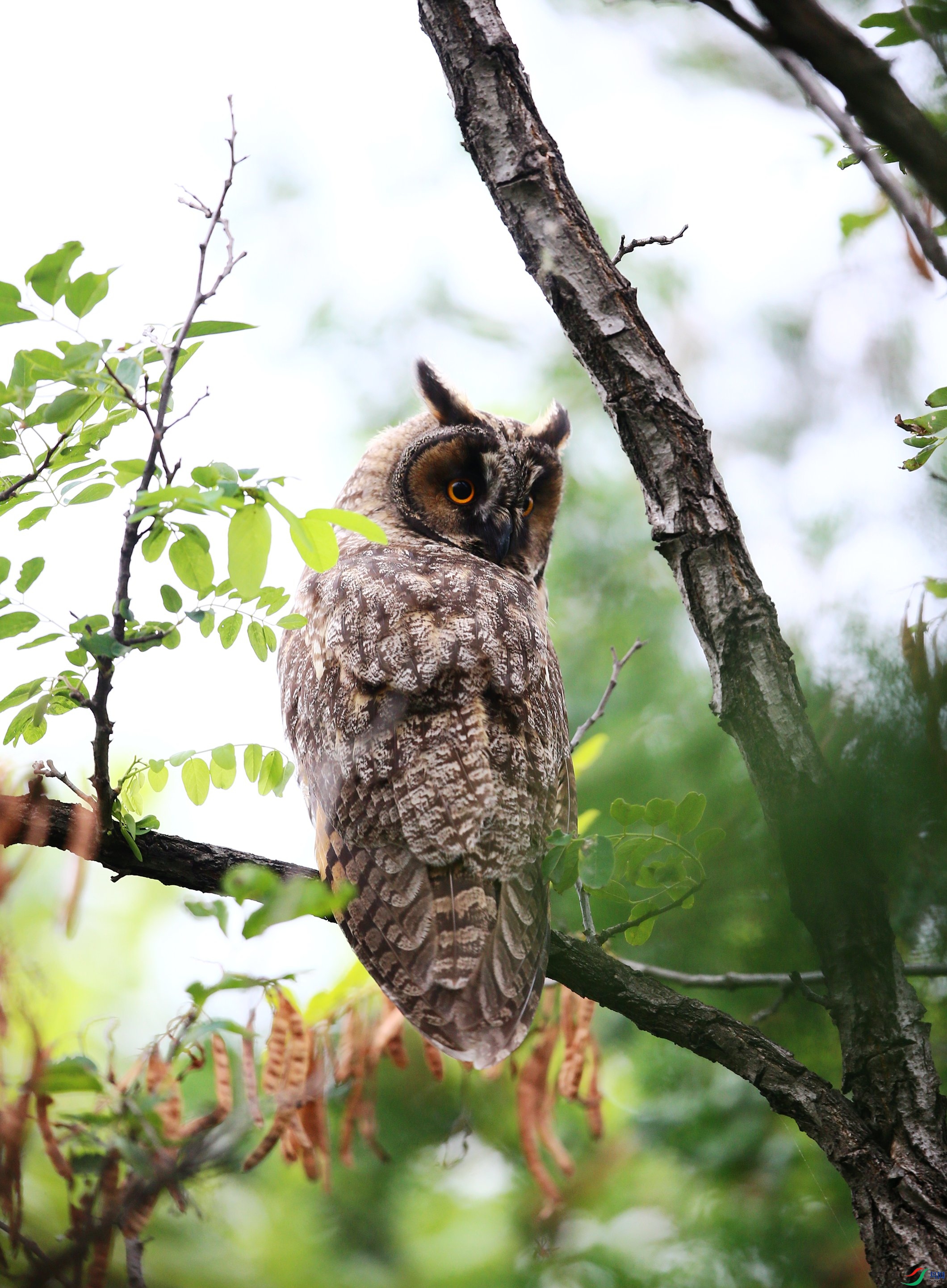 �����^ (8).JPG