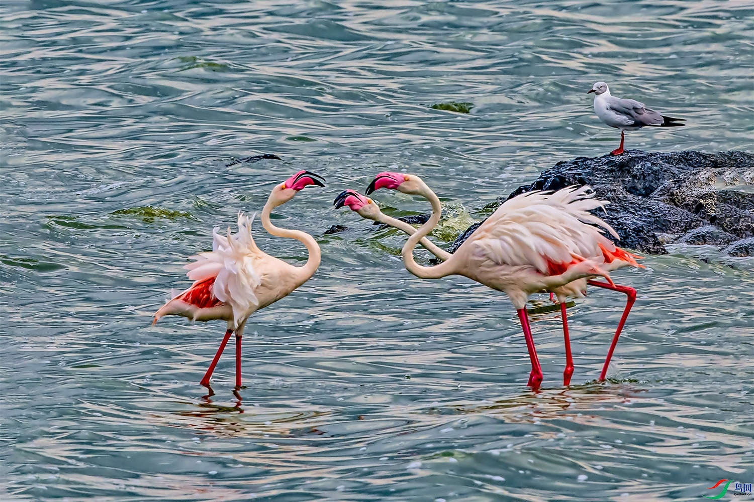 DSC_8271.jpg