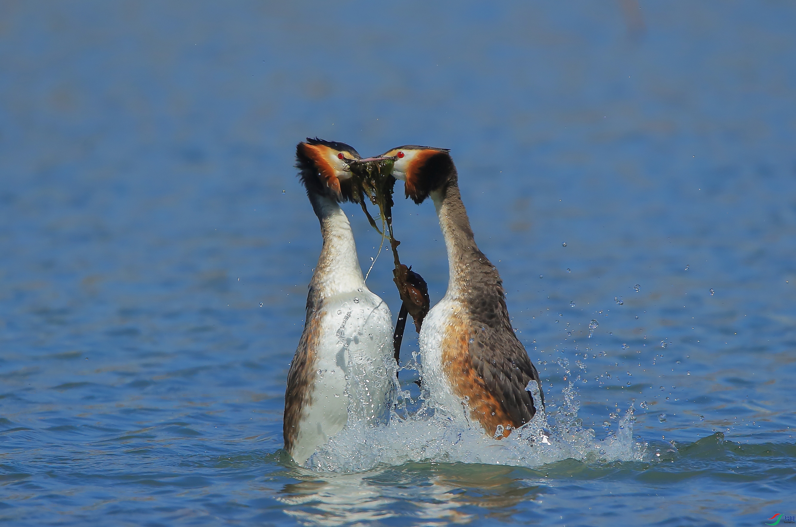 AM6Y0293 ����.jpg