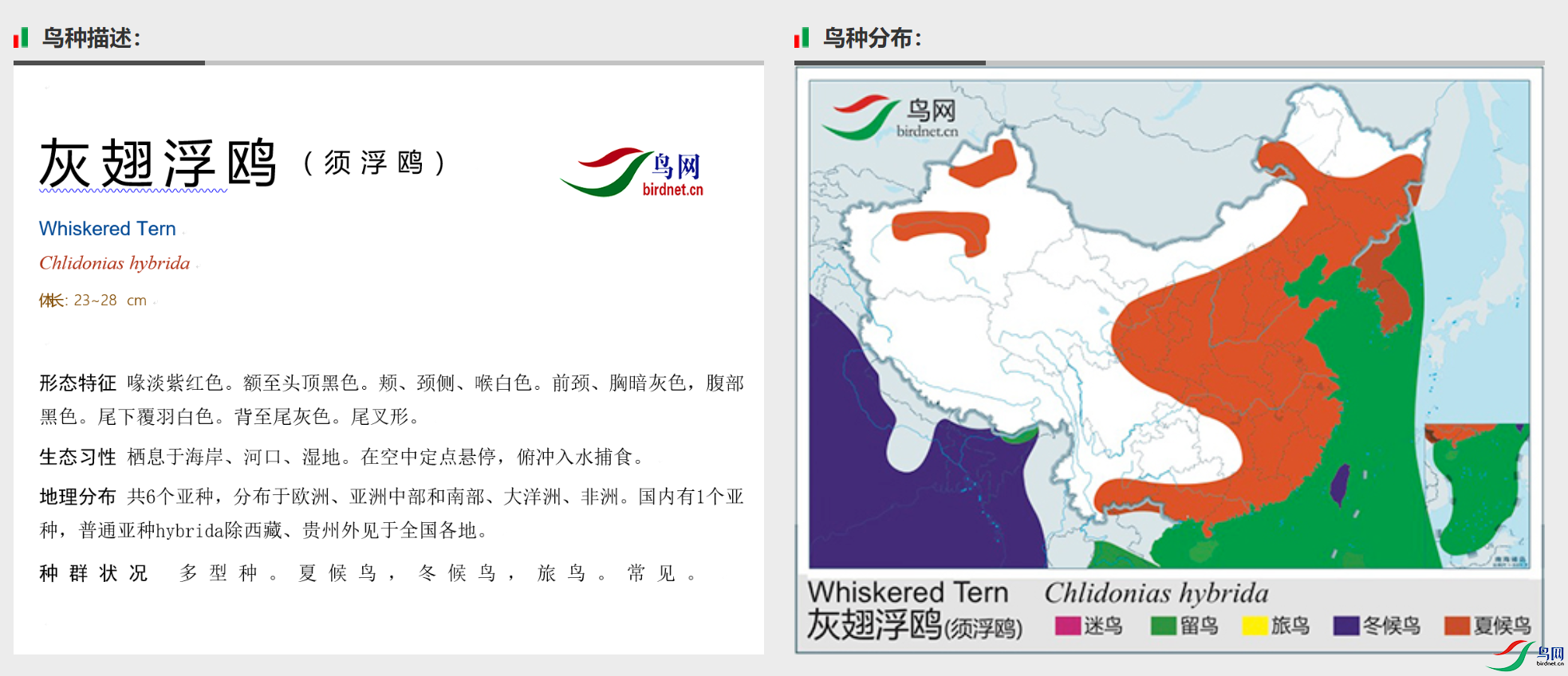 530ac8fab231ebae6022ce584280b612.png