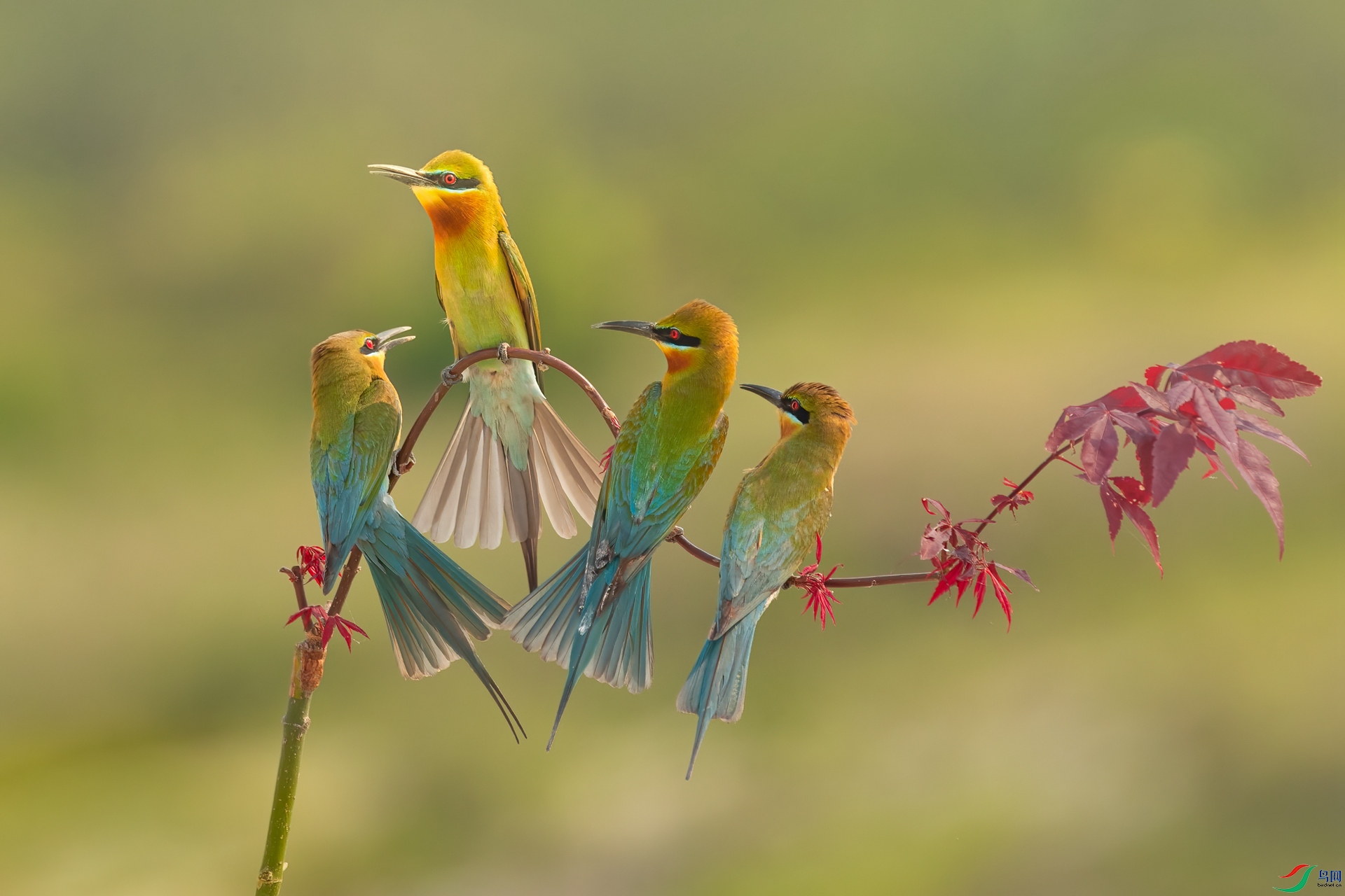 B86I8853 _����.jpg