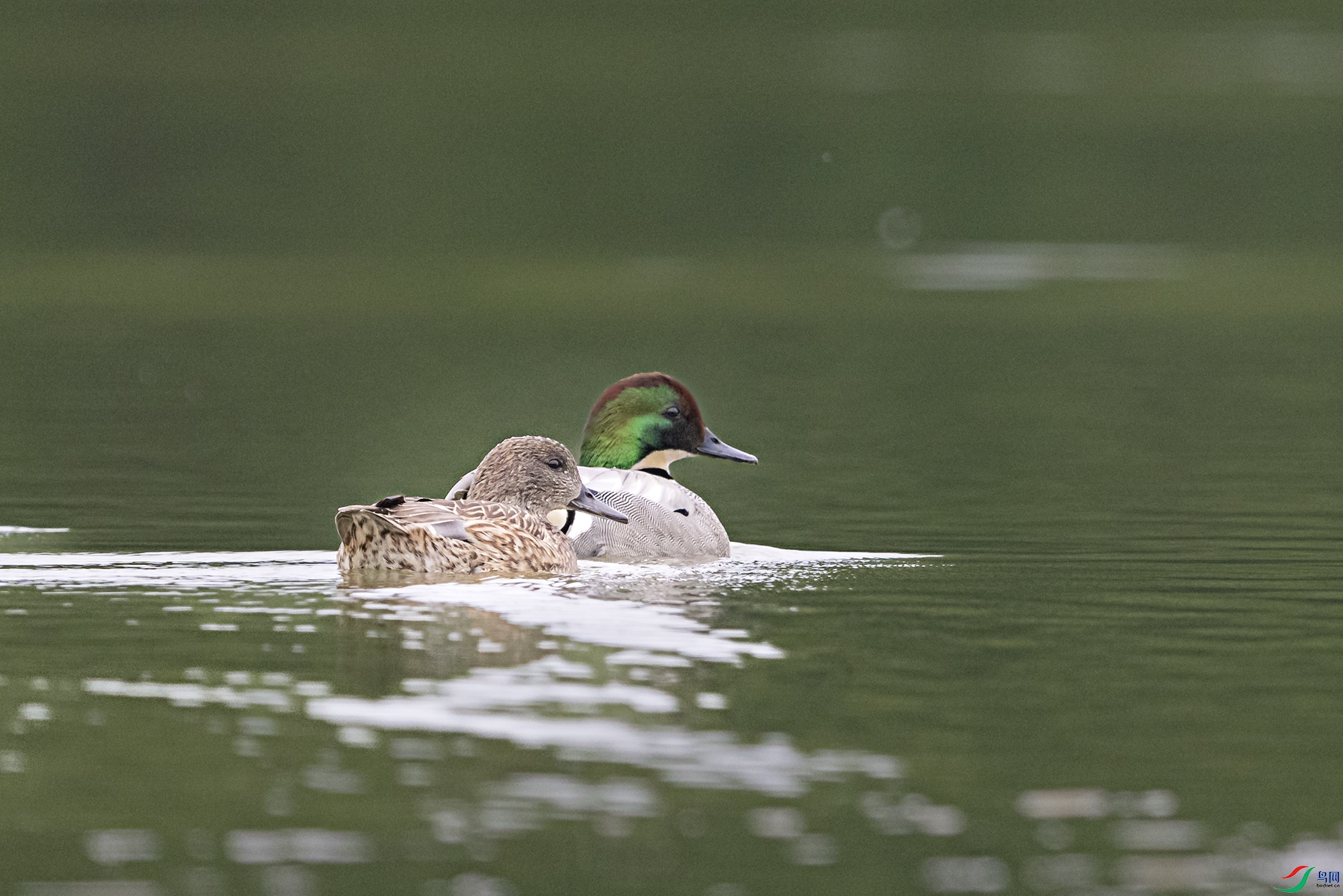 DSC_8506.jpg