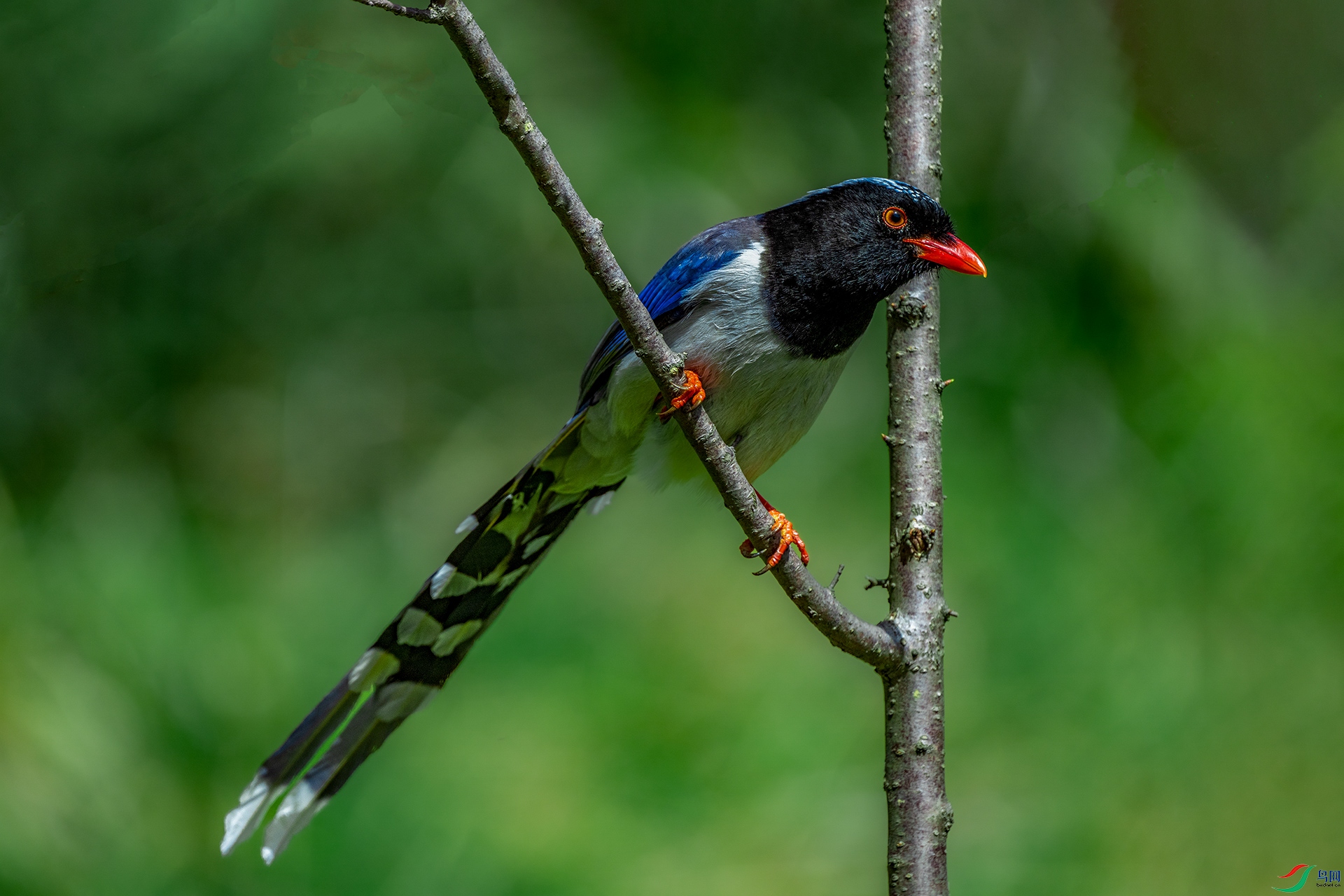 DSC_9132.jpg