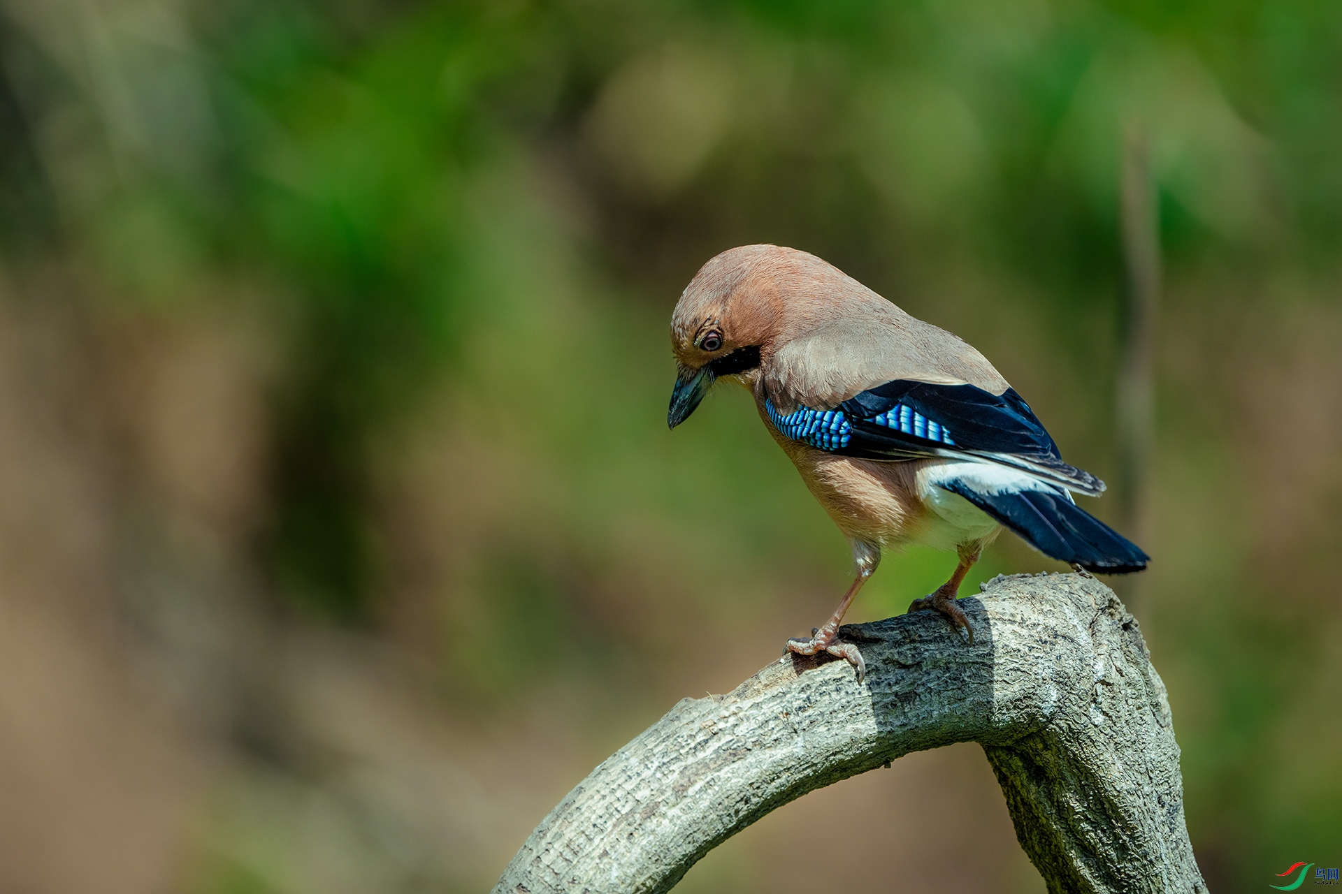 DSC_9128.jpg