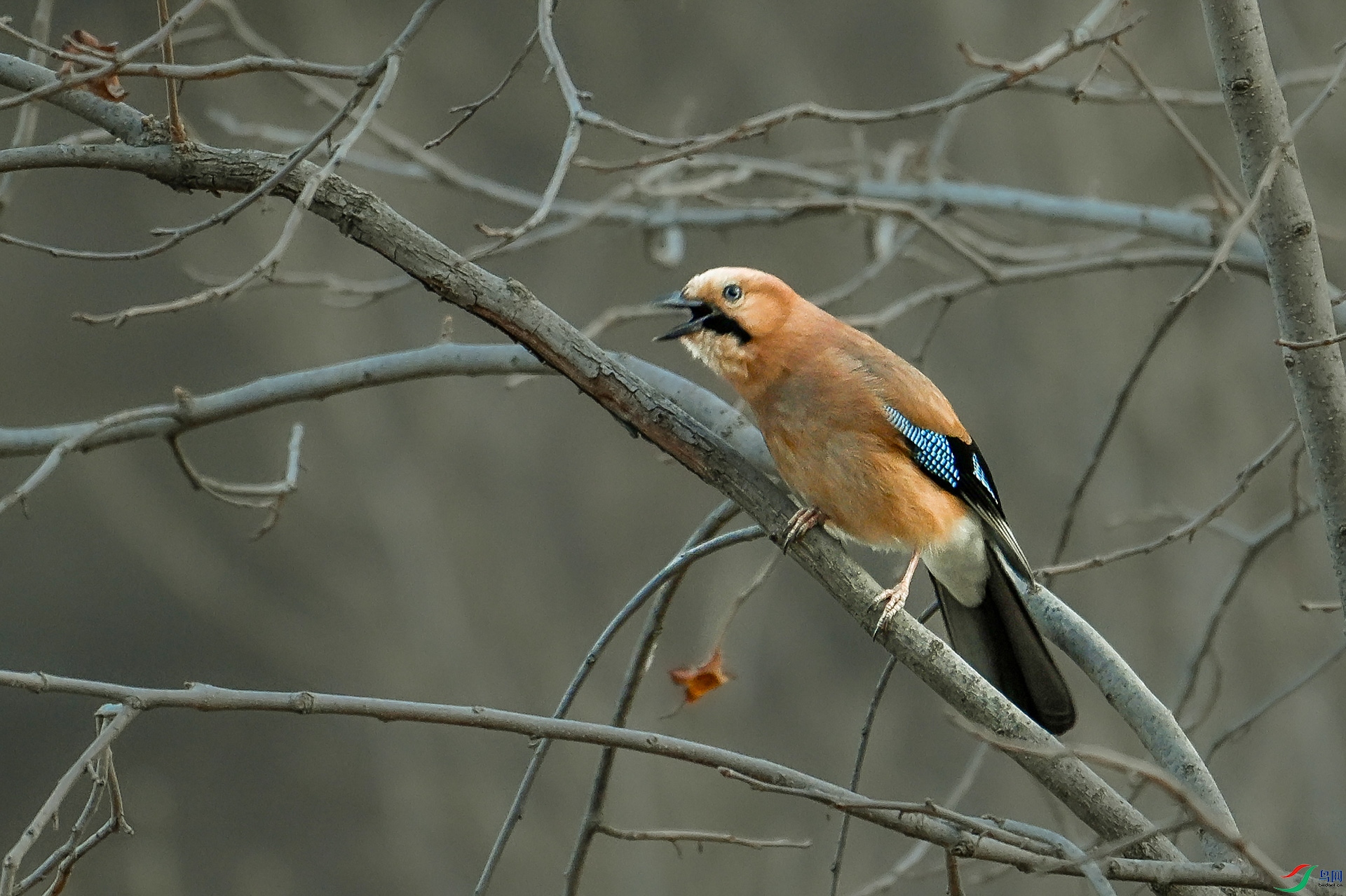 DSC_9166.jpg