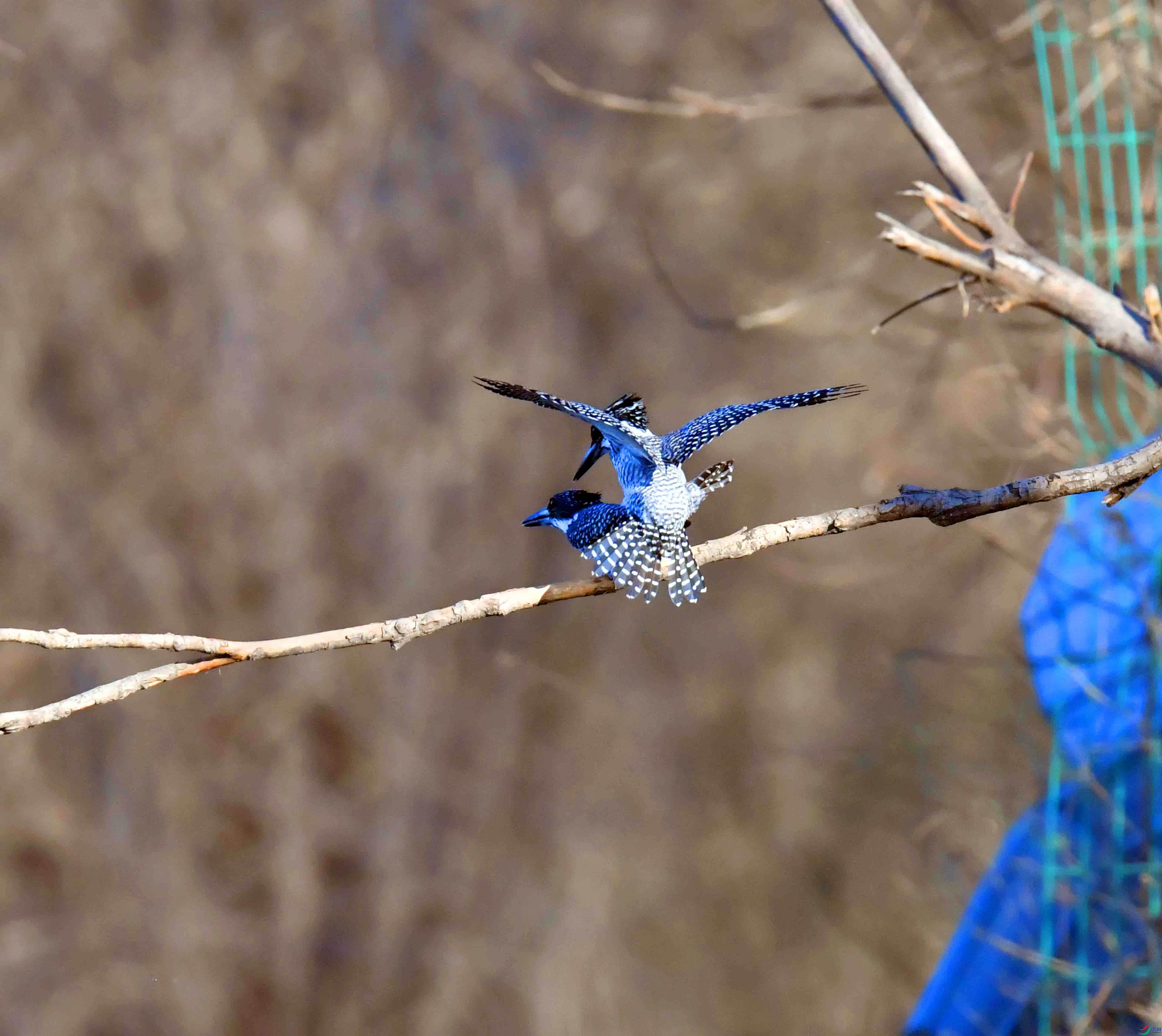 DSC_0359.JPG