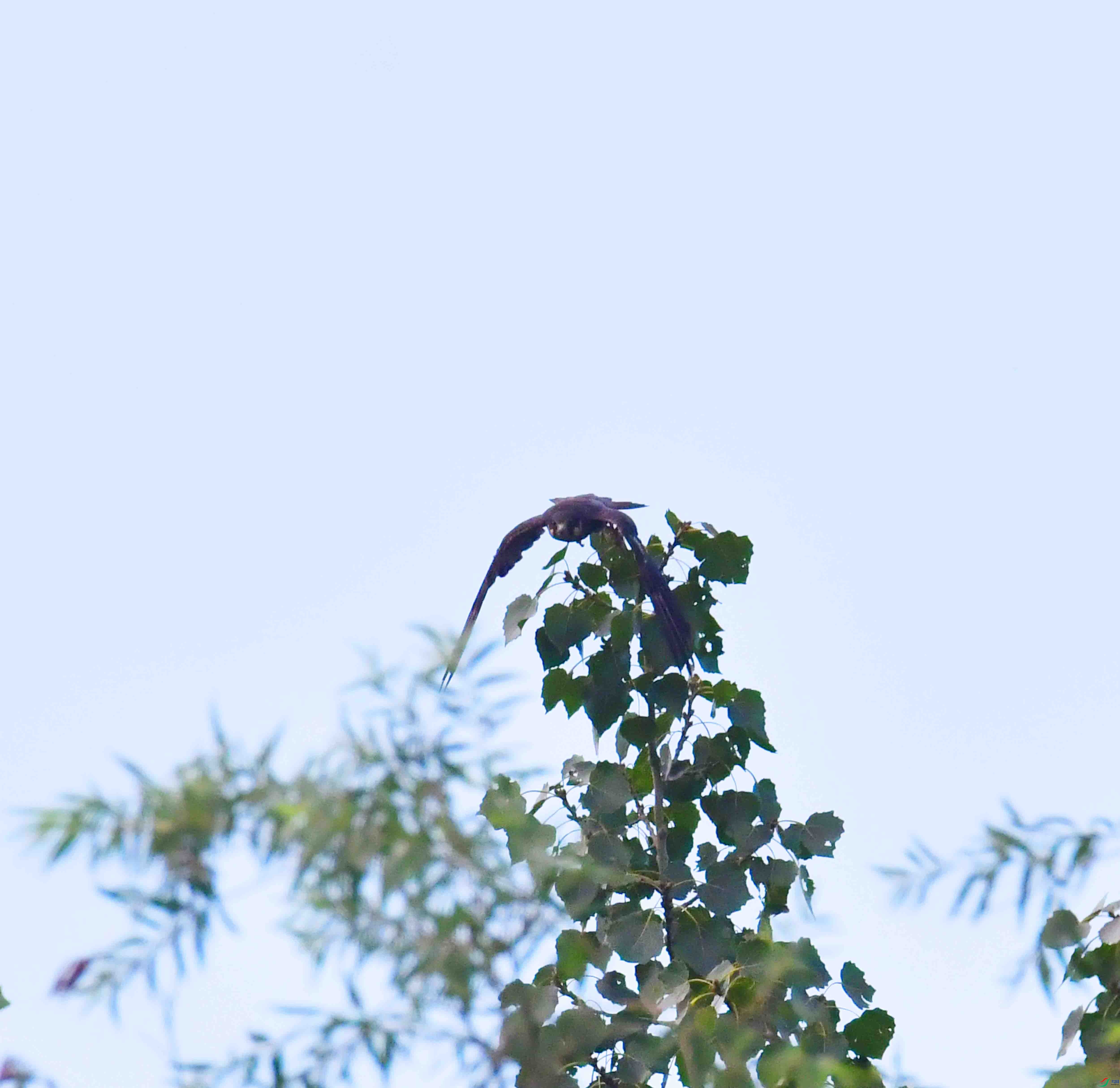 DSC_0374.JPG