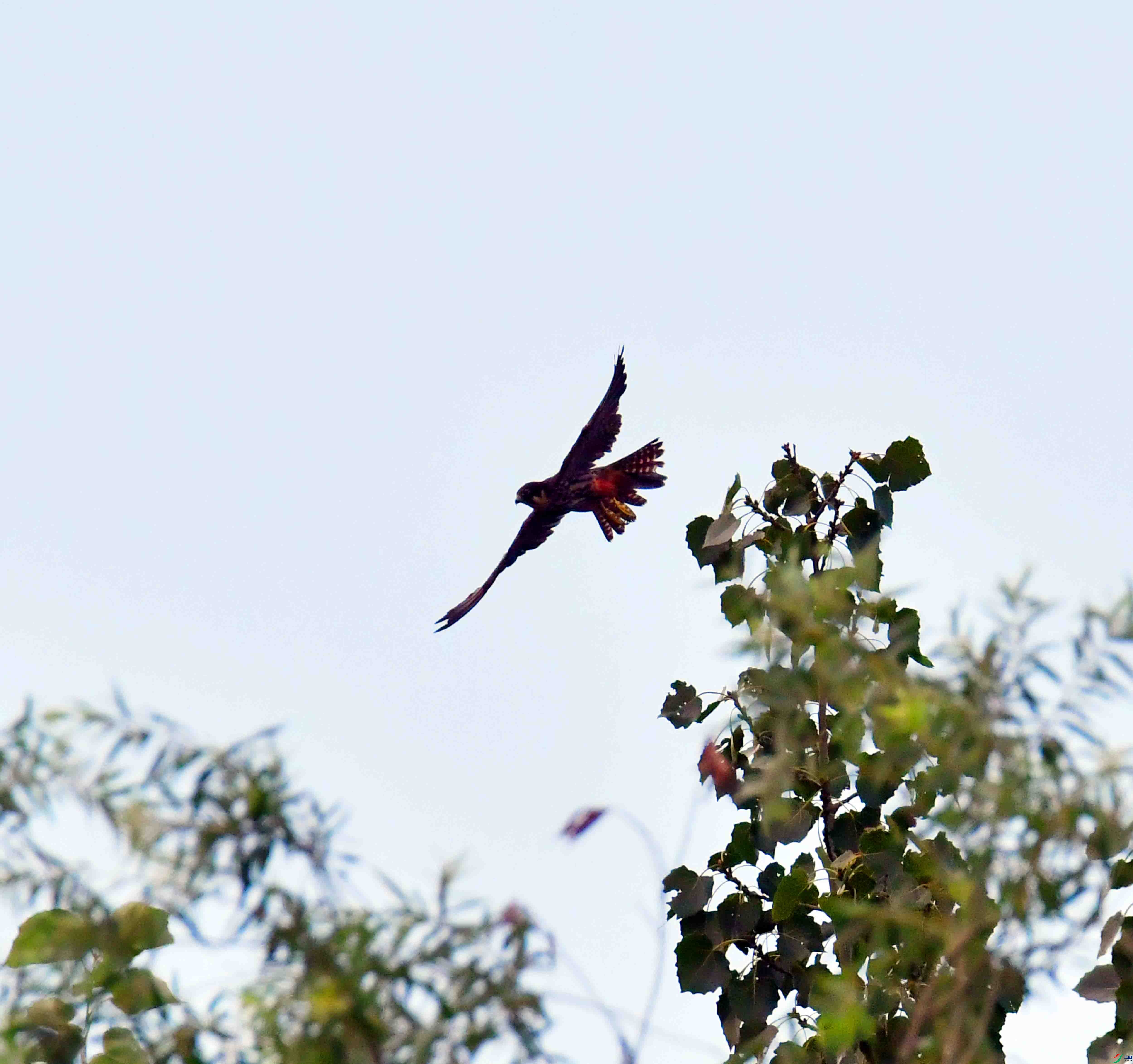 DSC_0388.JPG