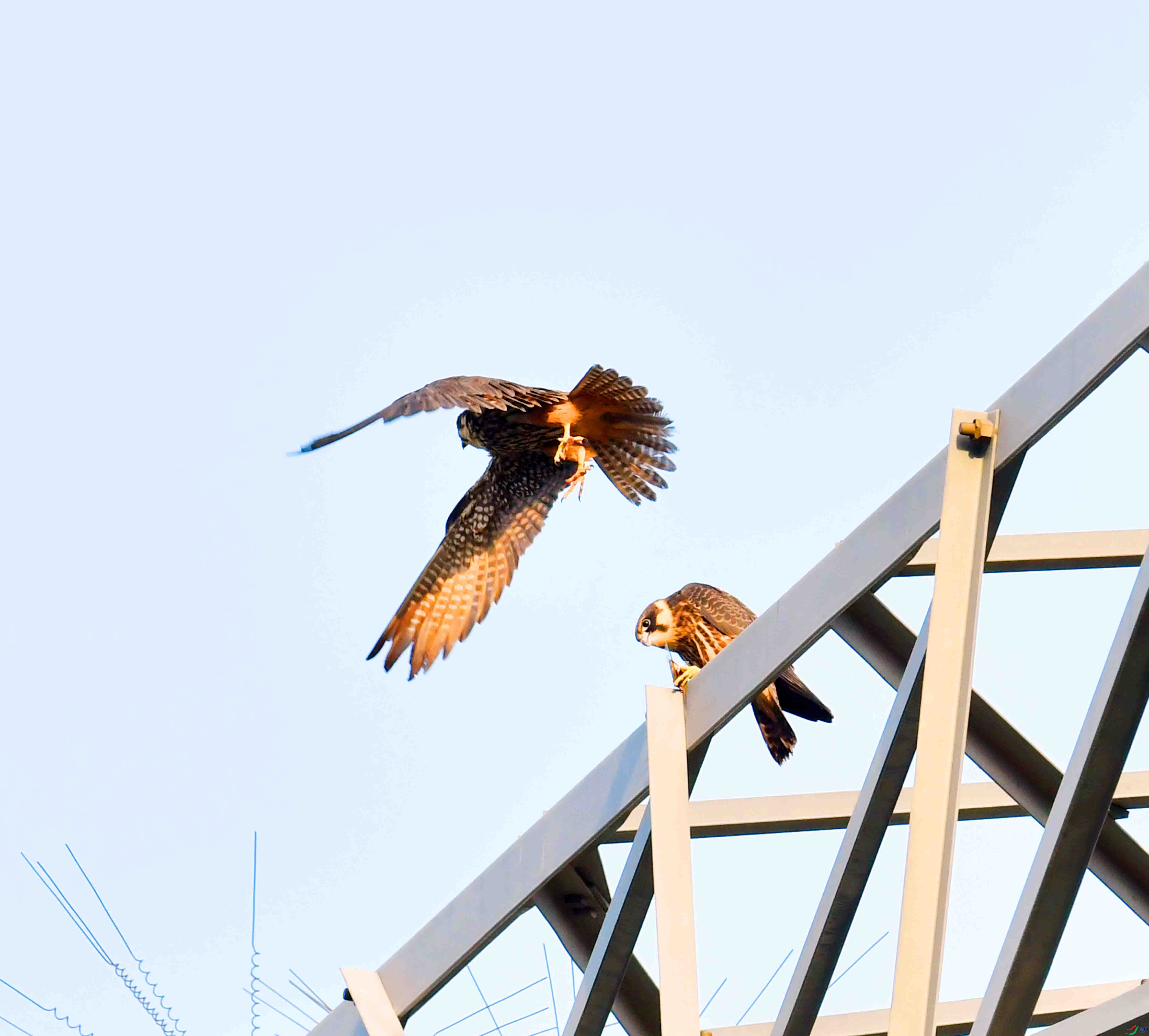 DSC_5335.JPG