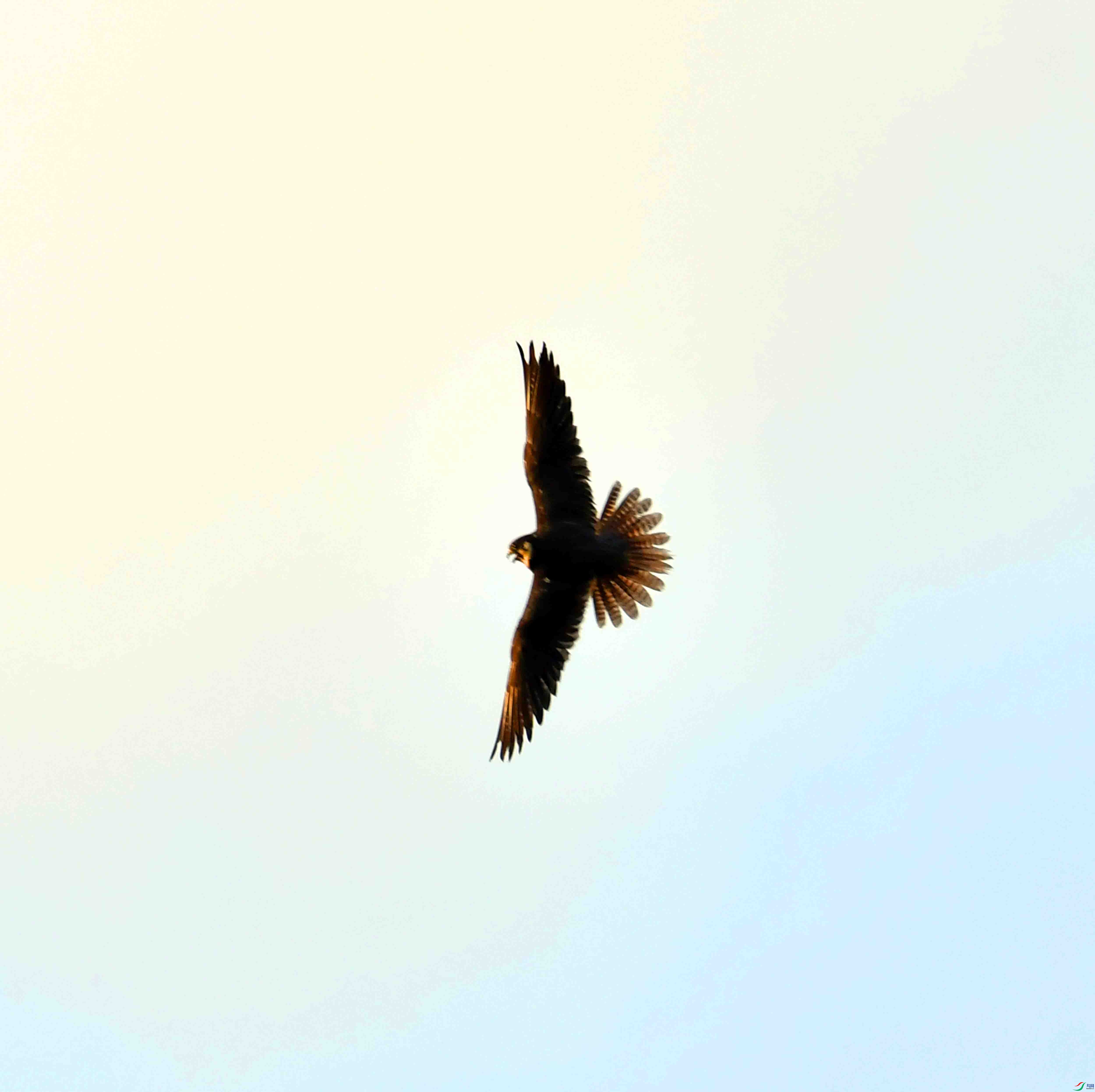 DSC_5366.JPG