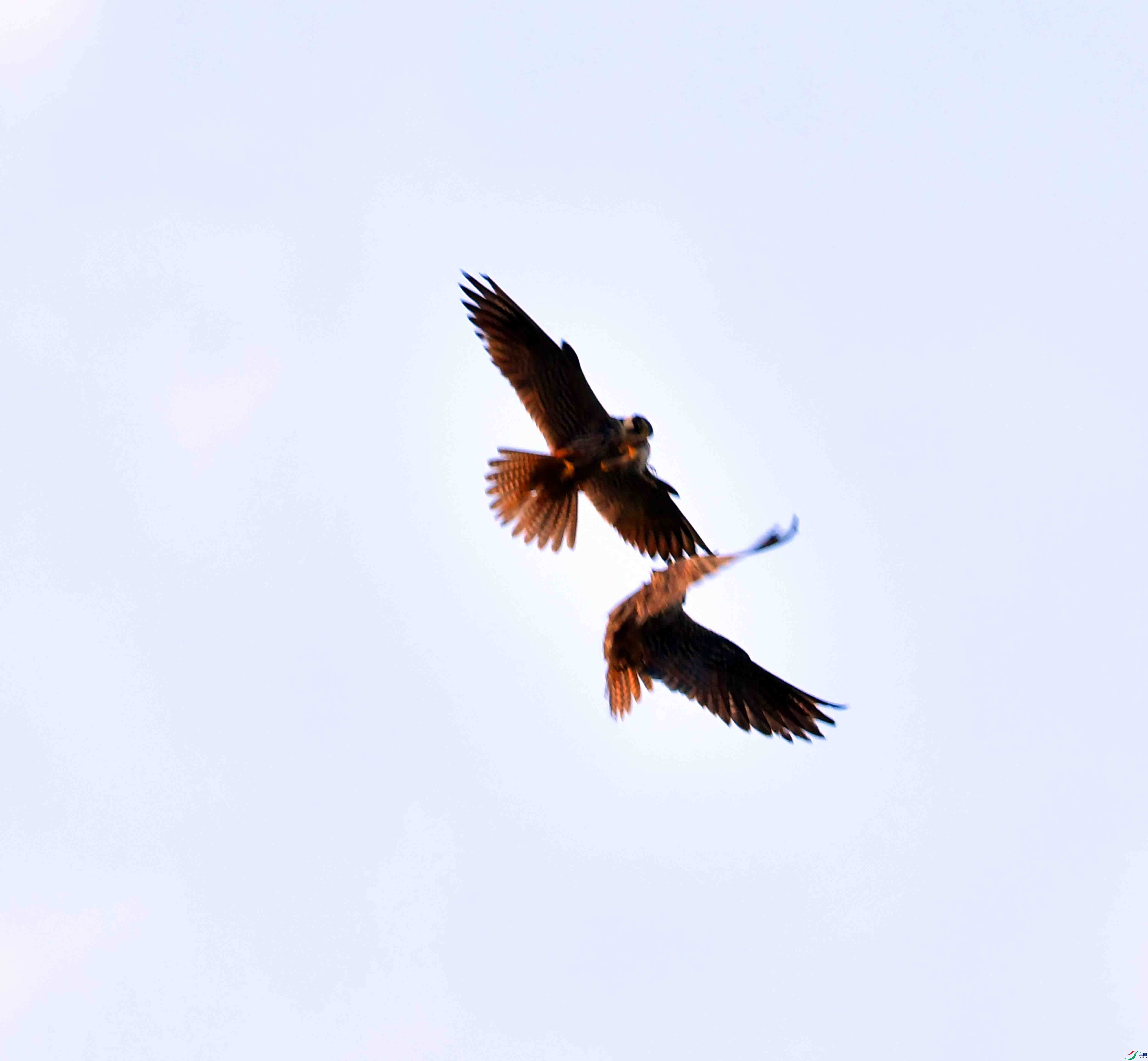 DSC_5372.JPG