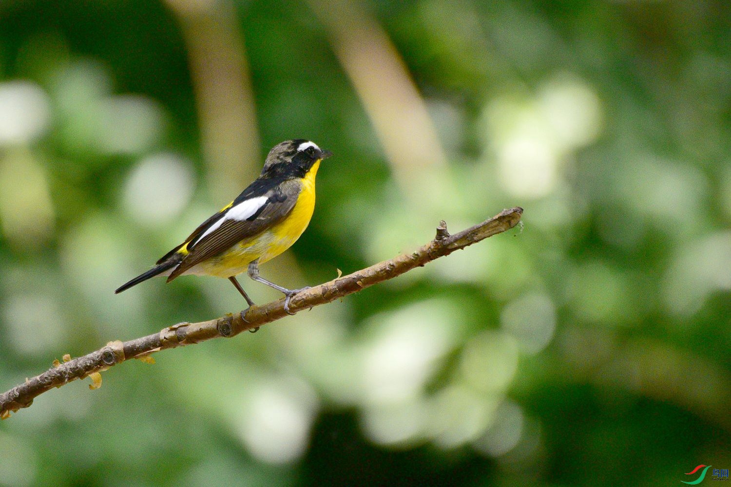 DSC_6126.JPG