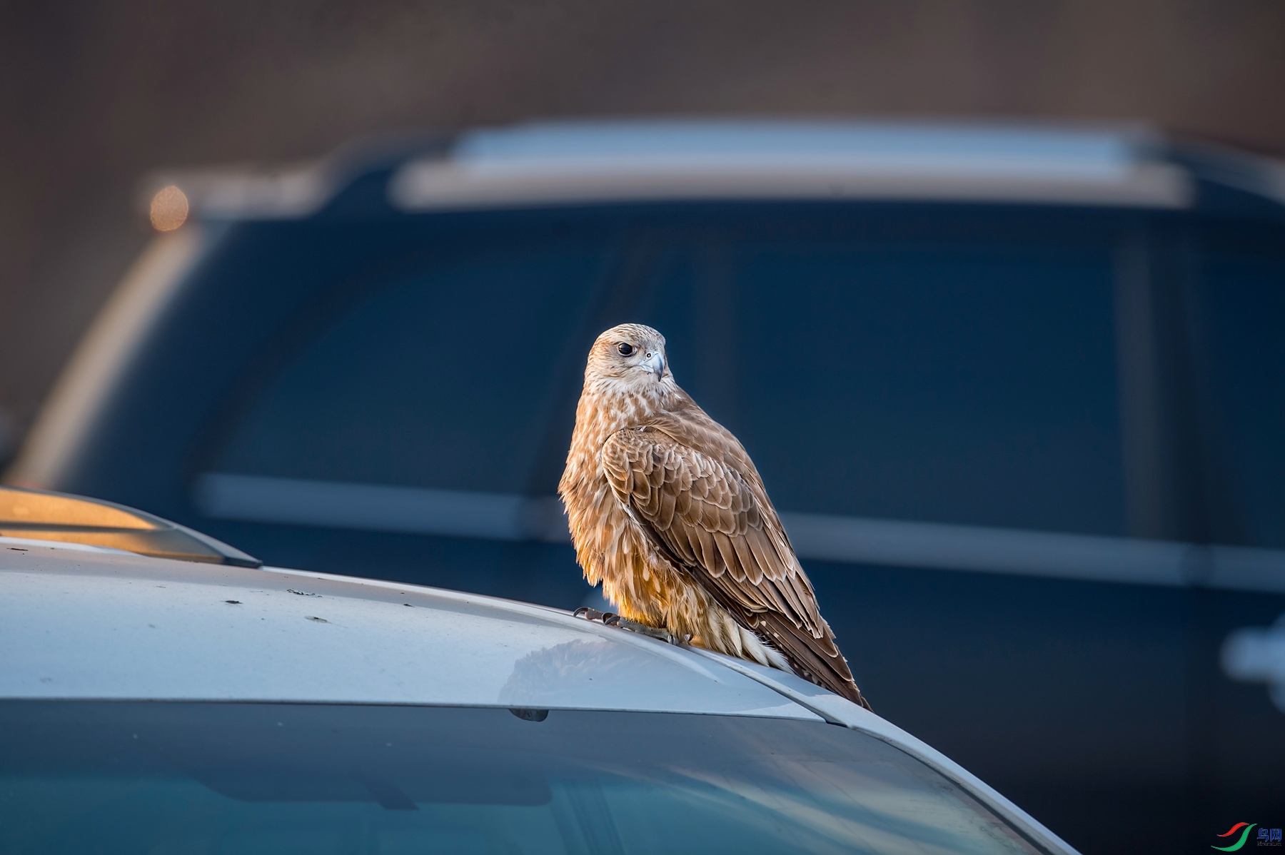 _DSC0362 (2)_����_����.jpg