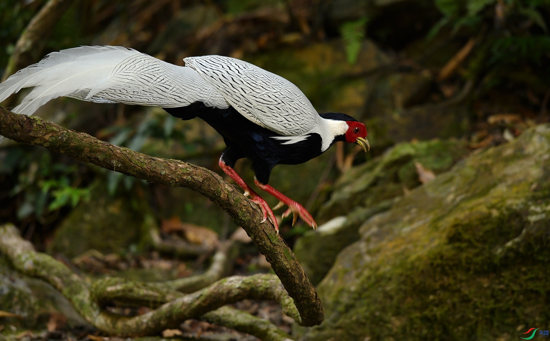 DSC_3408.jpg