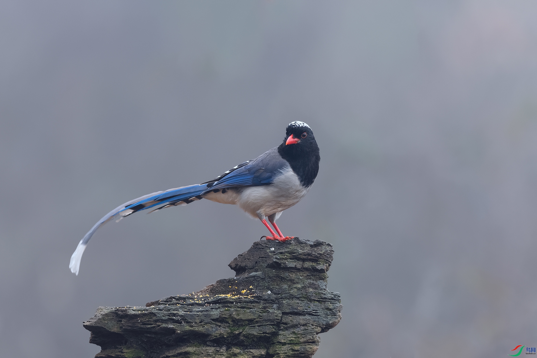 1DSC_7986_DxOa.jpg