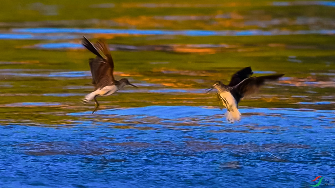 ����������������-���� ����.jpg