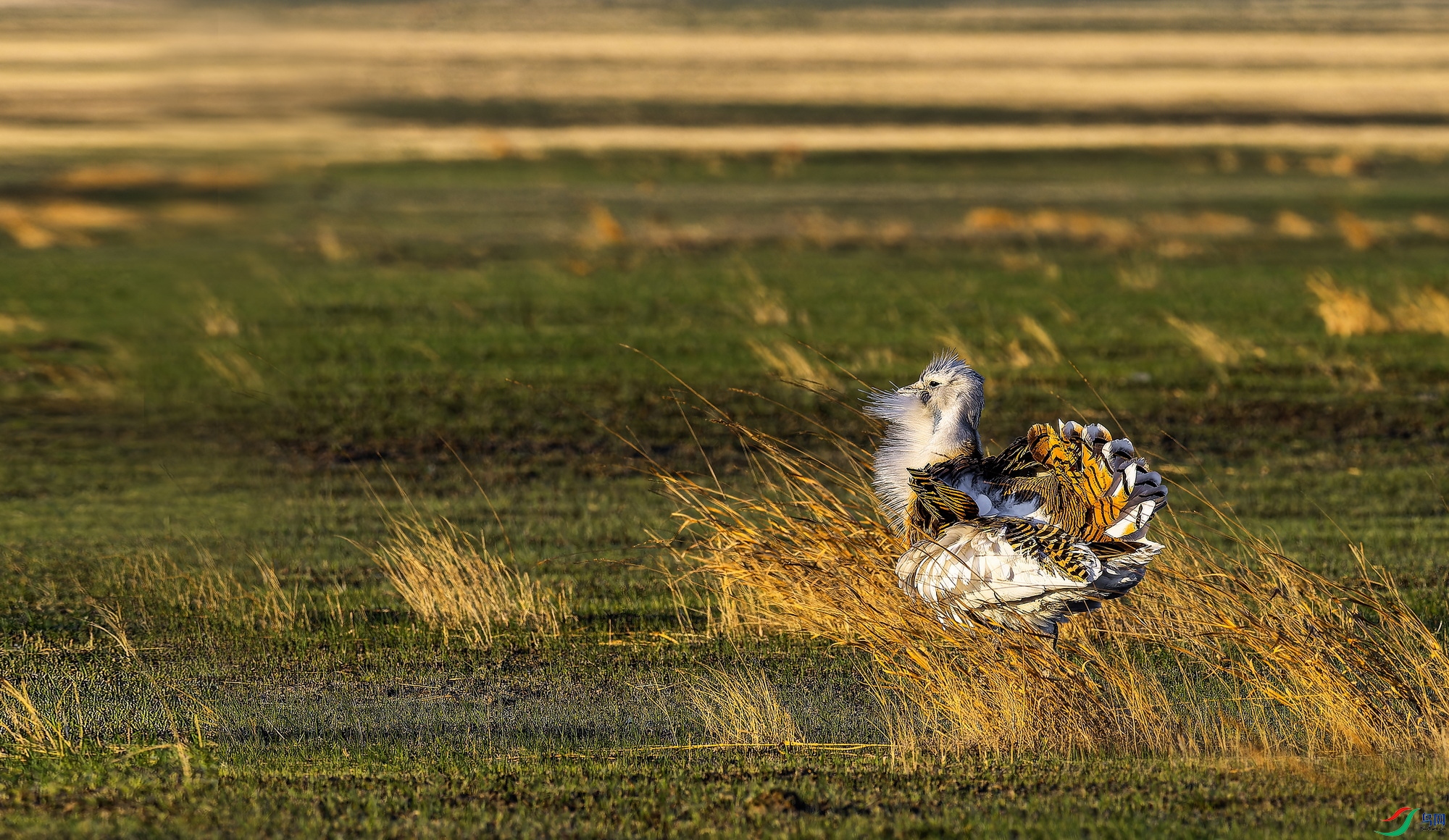 ��� (27)-1.jpg