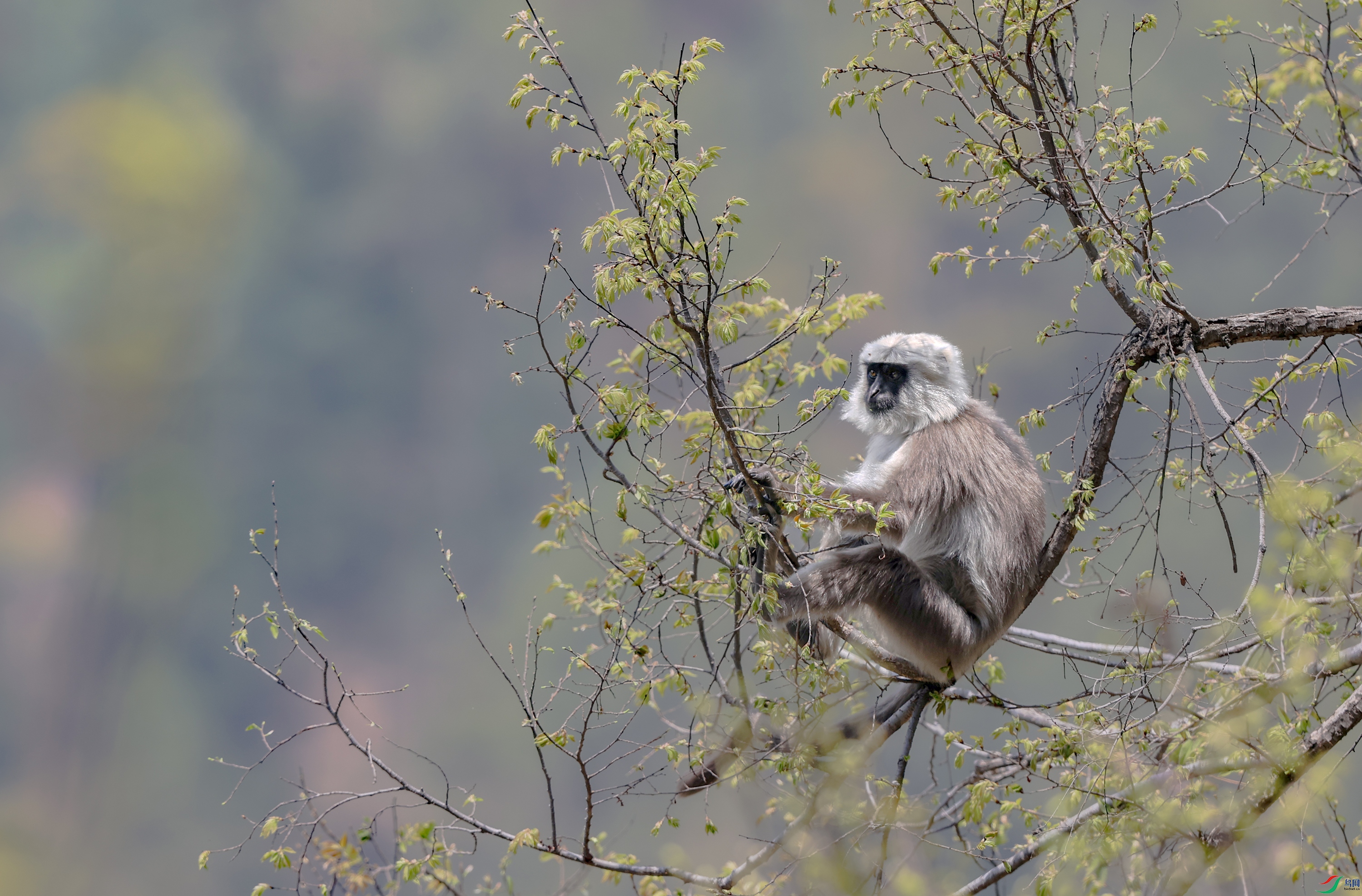 A15I0003 ����.jpg