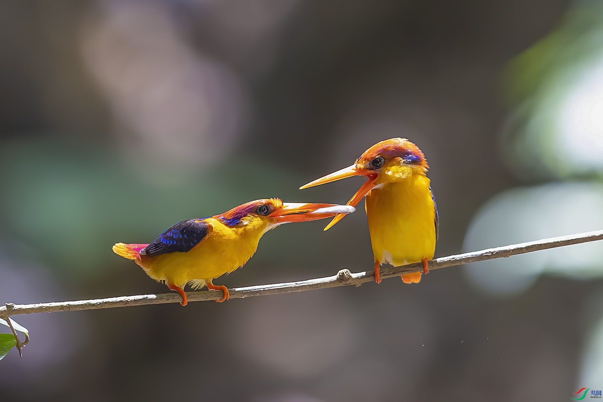 ~�װ�~