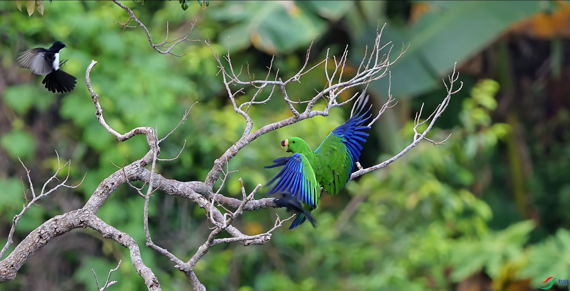 {AAB95D06-35AC-4253-97C8-F2201153A678} ����.jpg