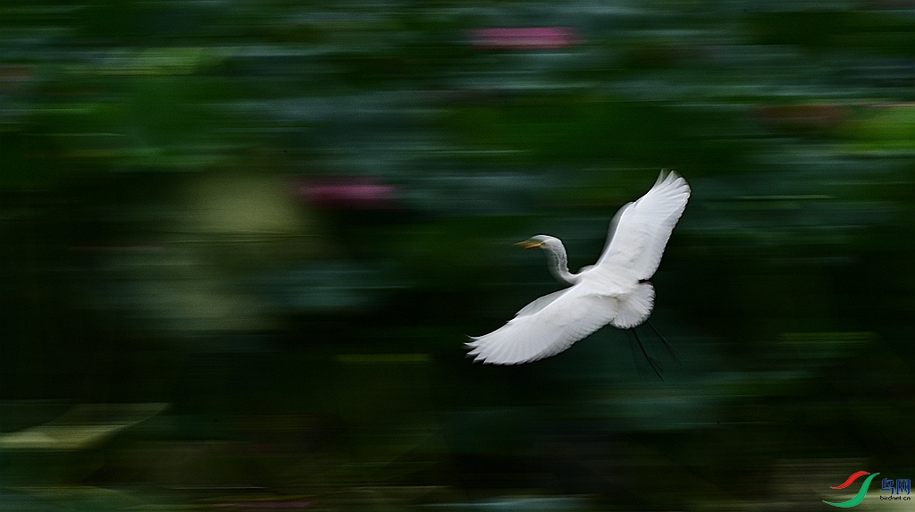 DSC_3379.JPG