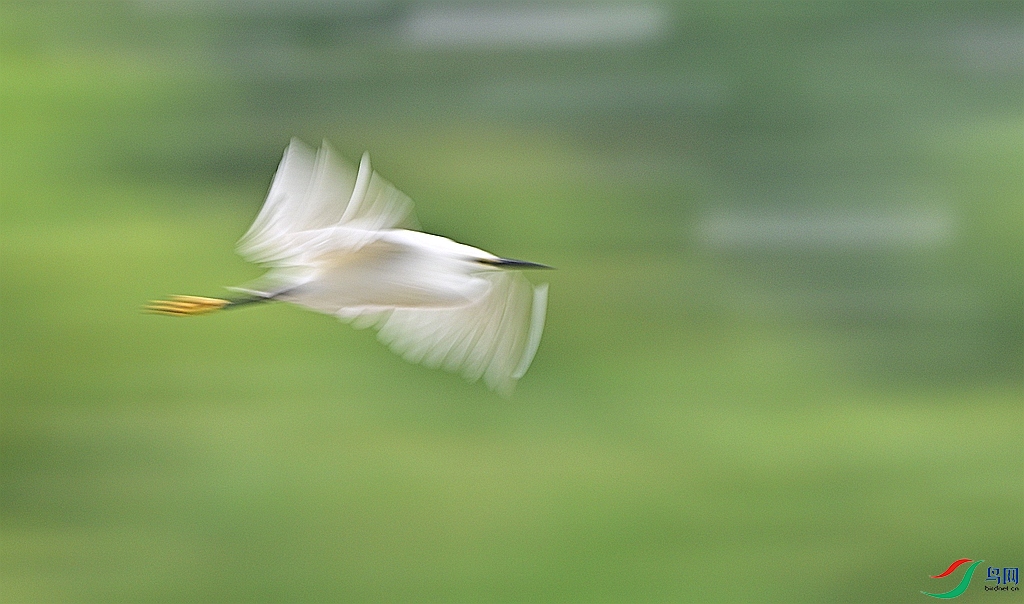 DSC_3090.JPG