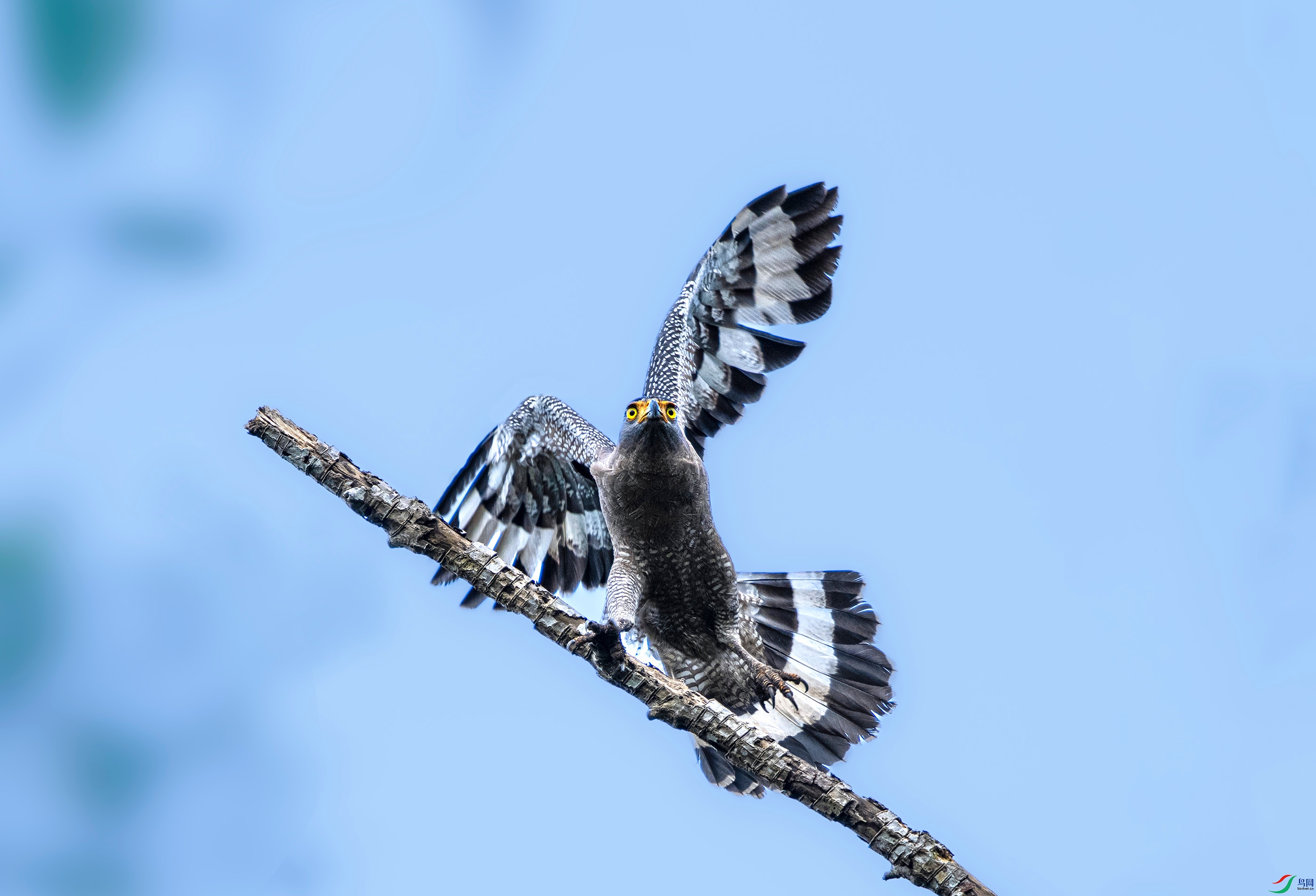 DSC_3891.jpg