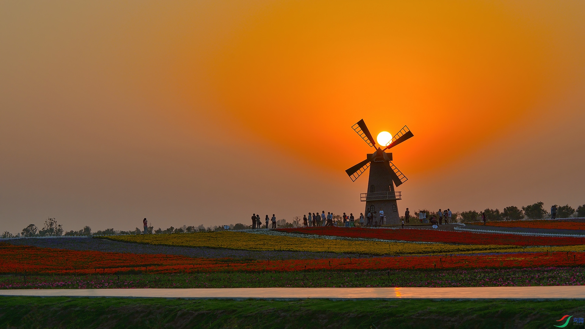 DSC_5075 ����.jpg