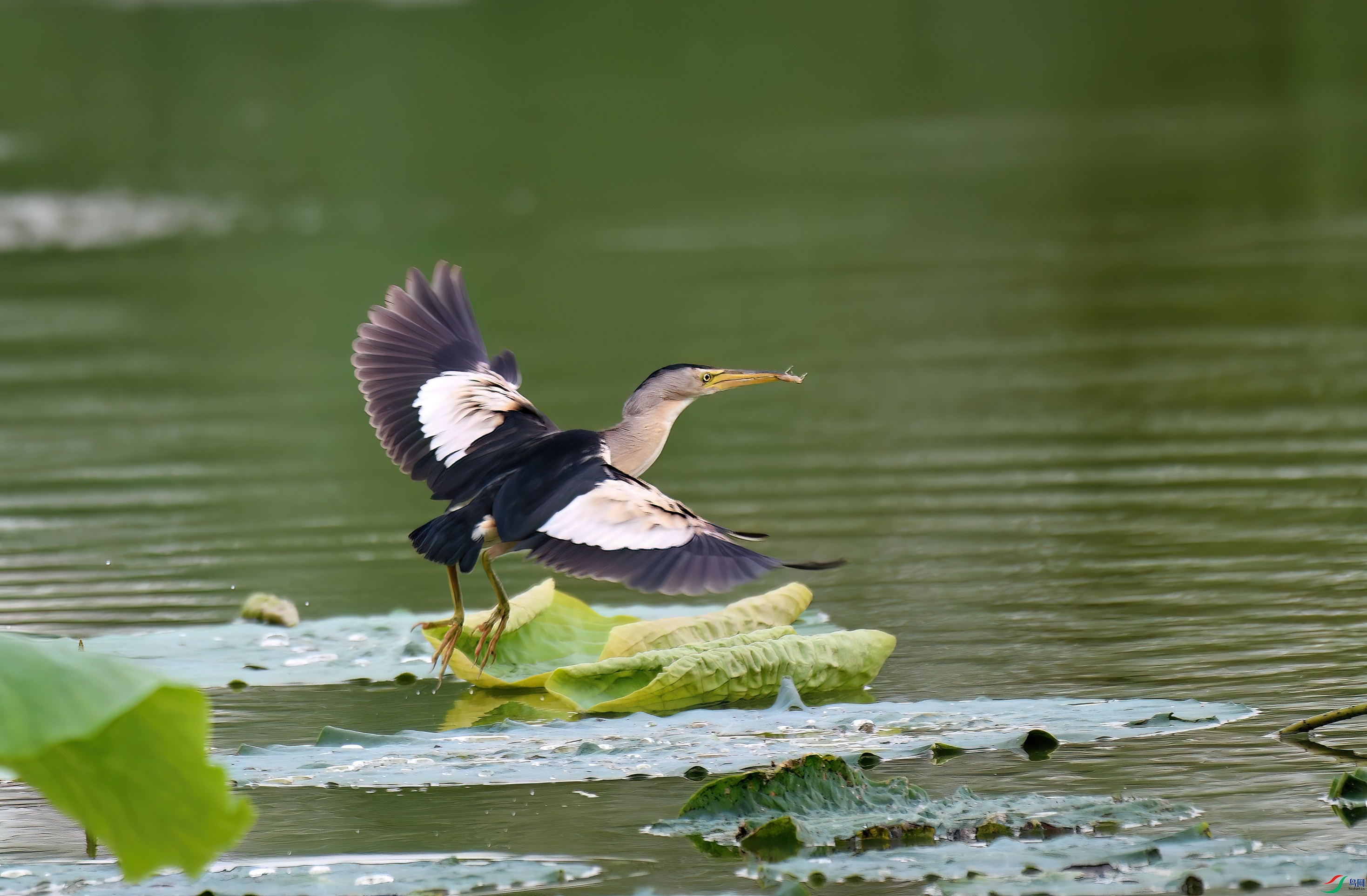 2Сέ�Z �����.jpg