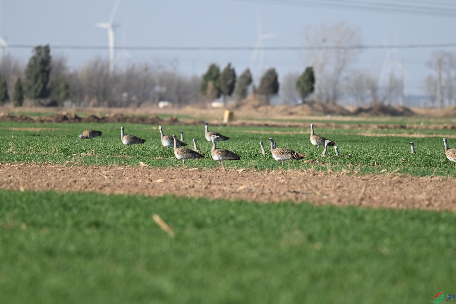 DSC_9961.JPG