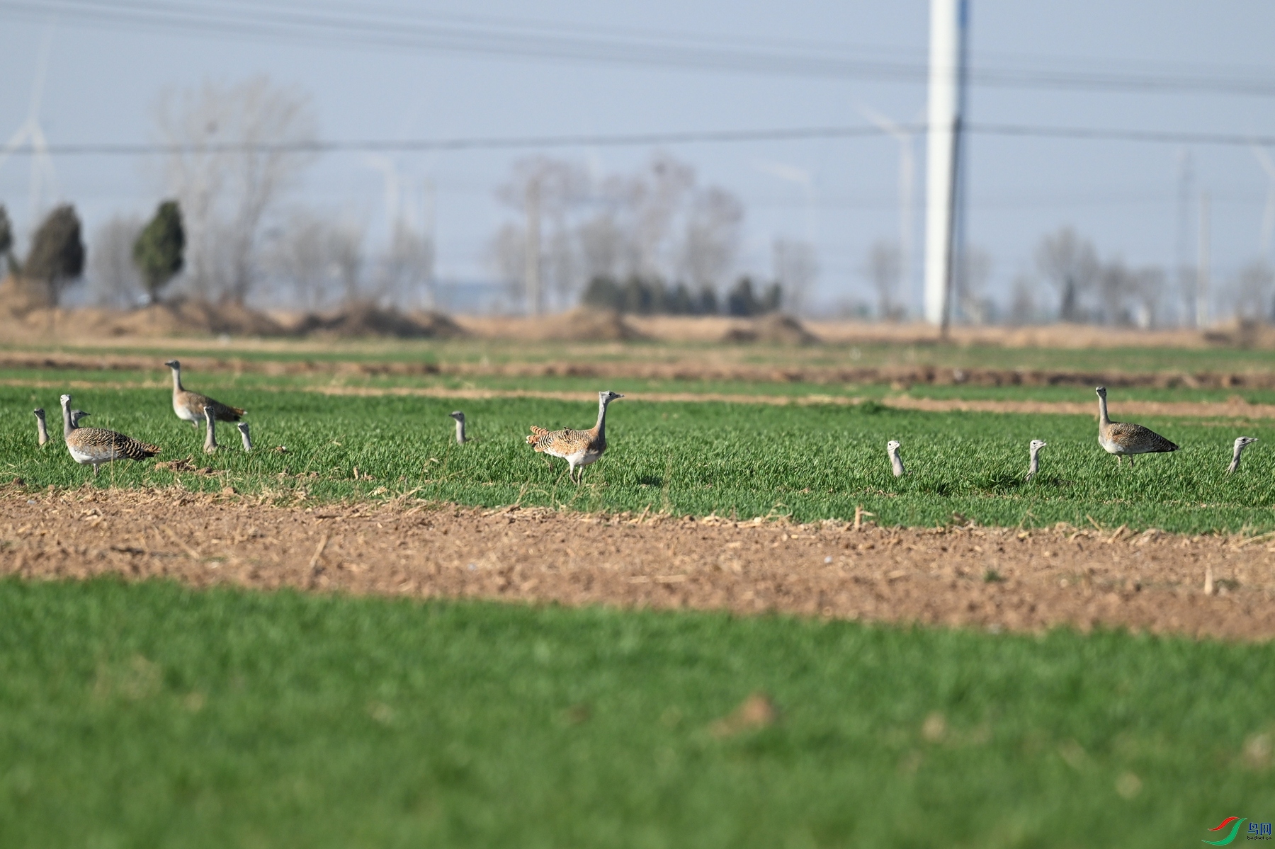 DSC_9966.JPG