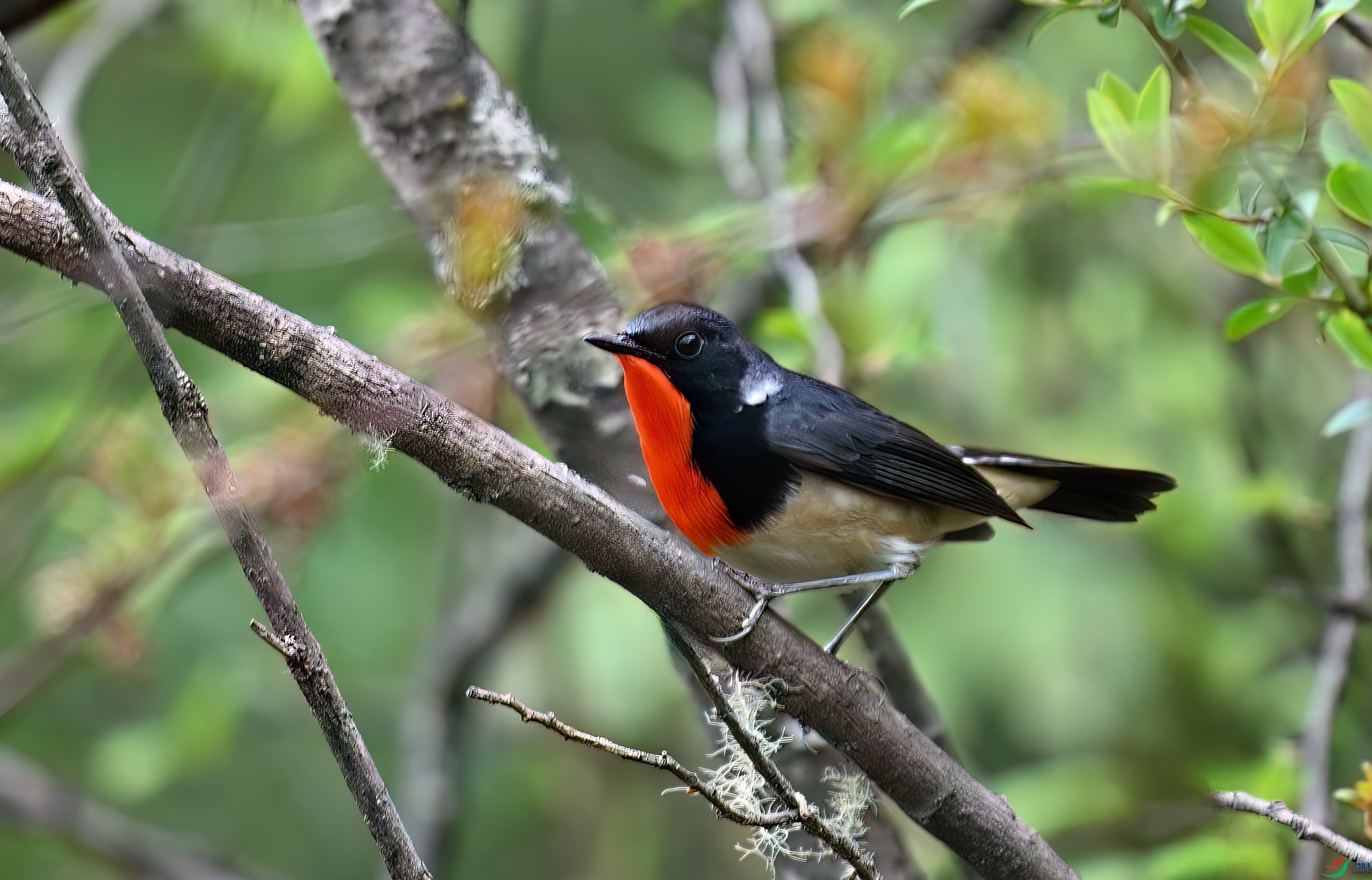 ���� ���ظ��.JPG