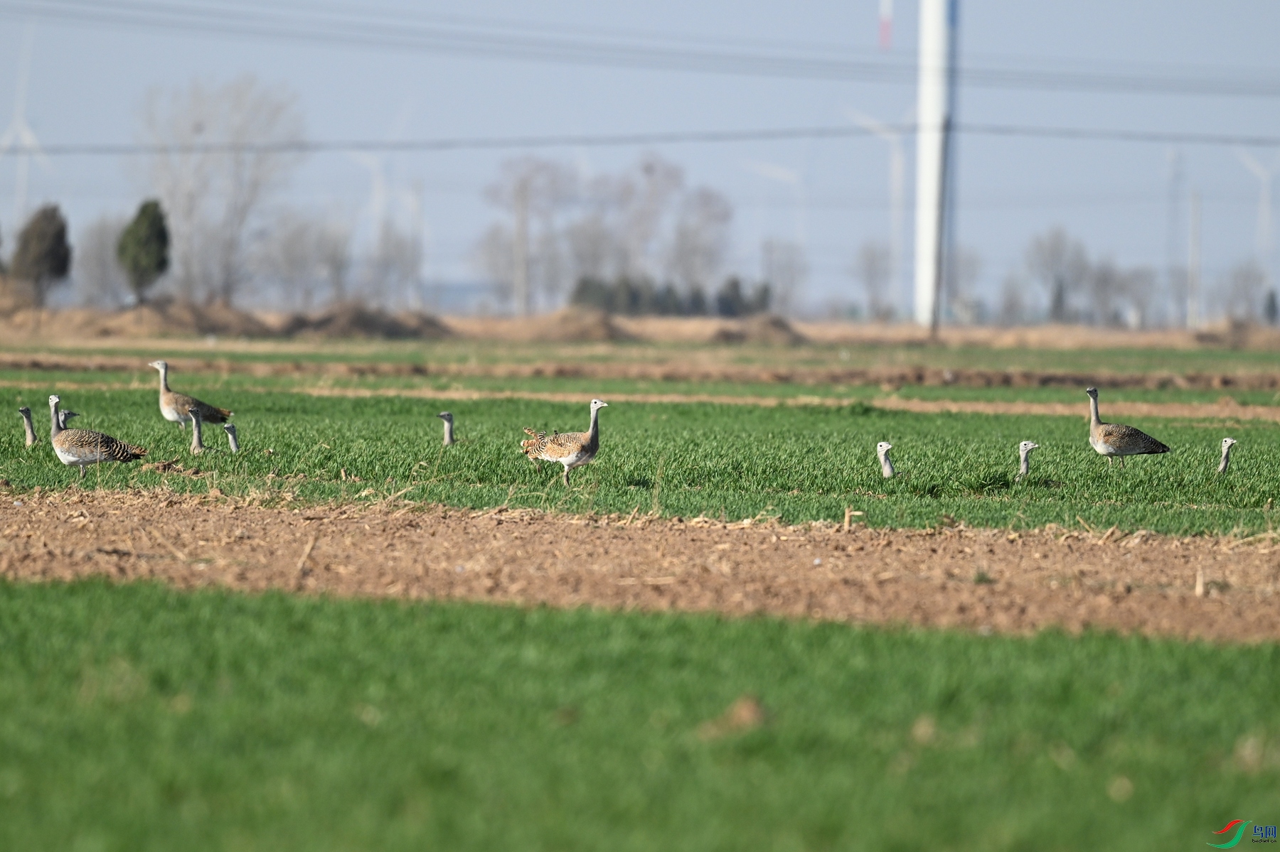 DSC_9973.JPG