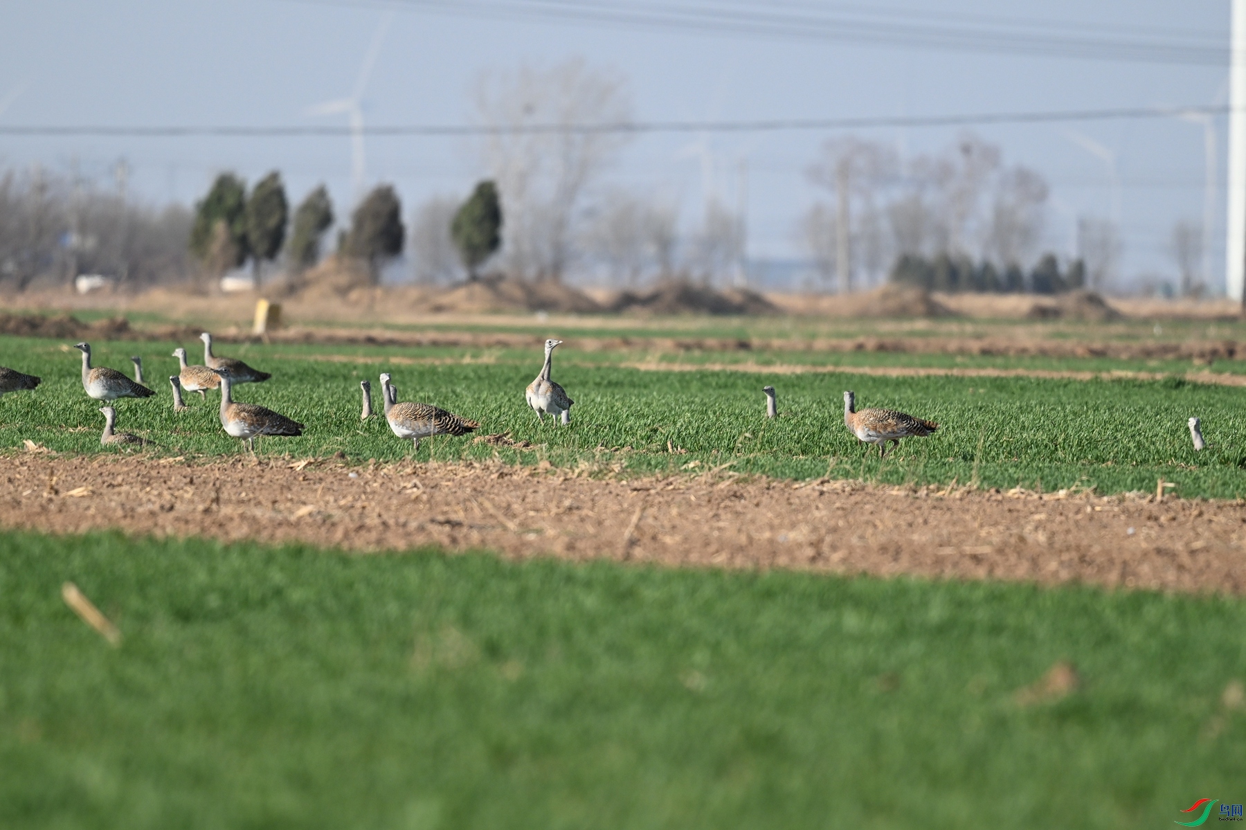 DSC_9980.JPG