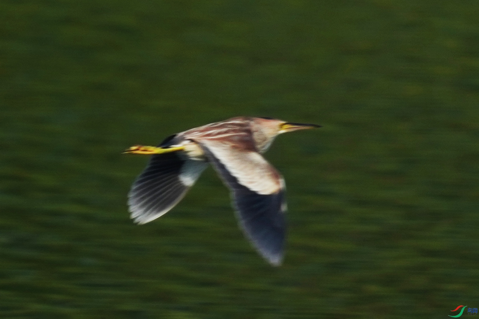 040DSC07426 ����.jpg