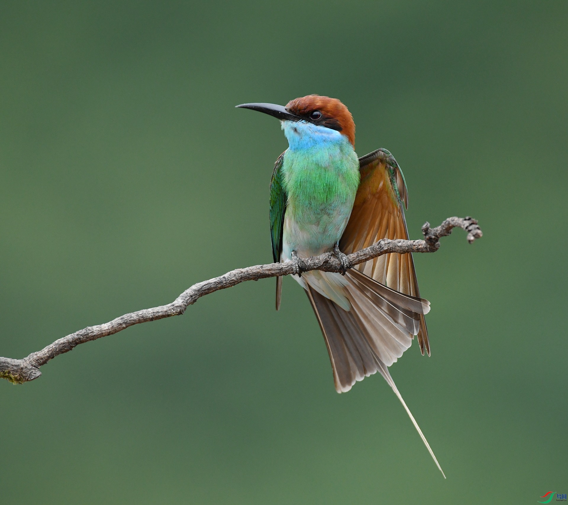 DSC_1462.jpg