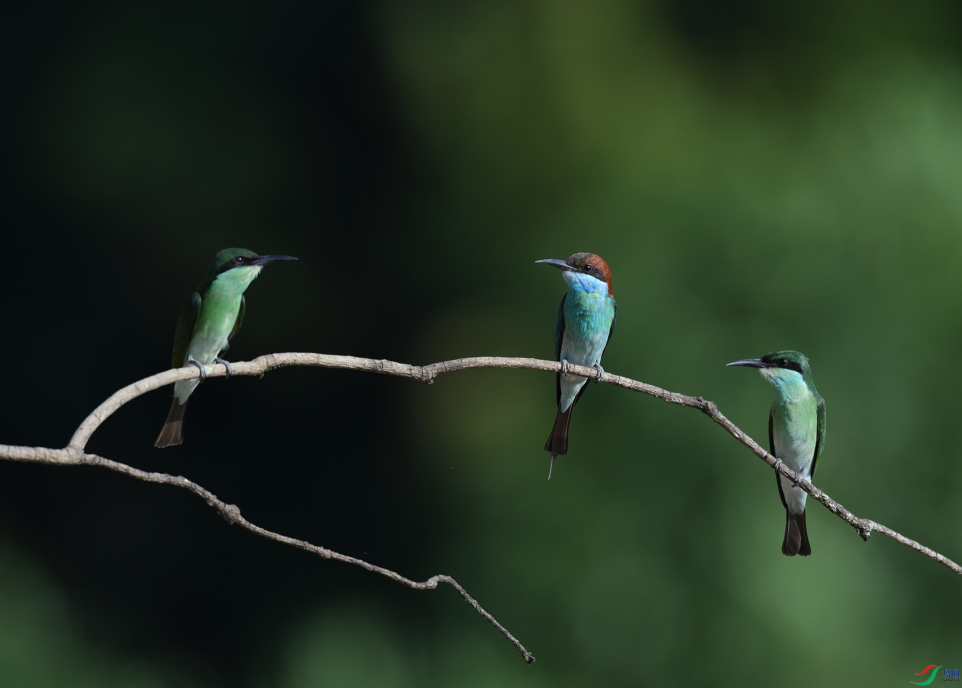 DSC_1451.jpg