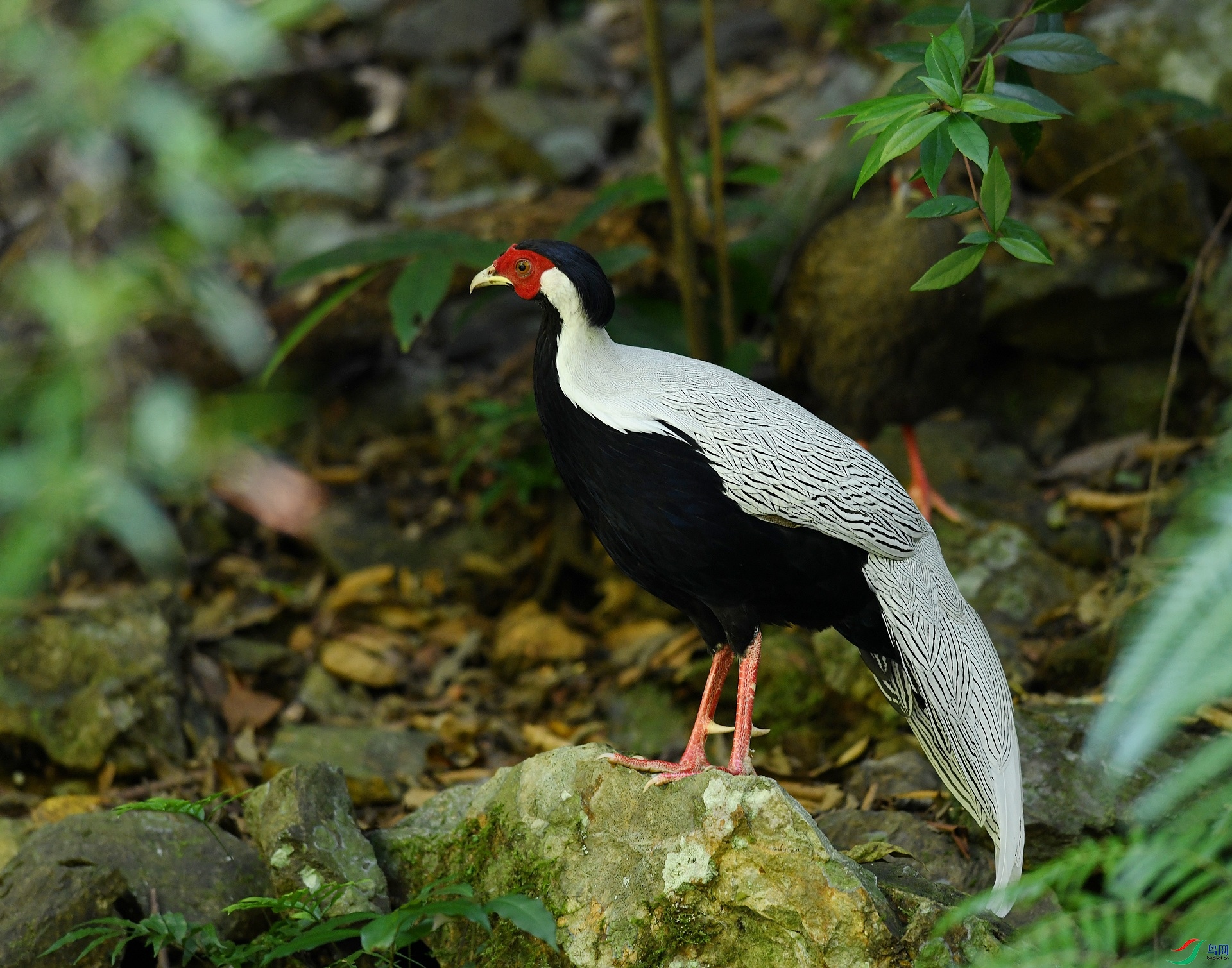 DSC_2317.jpg