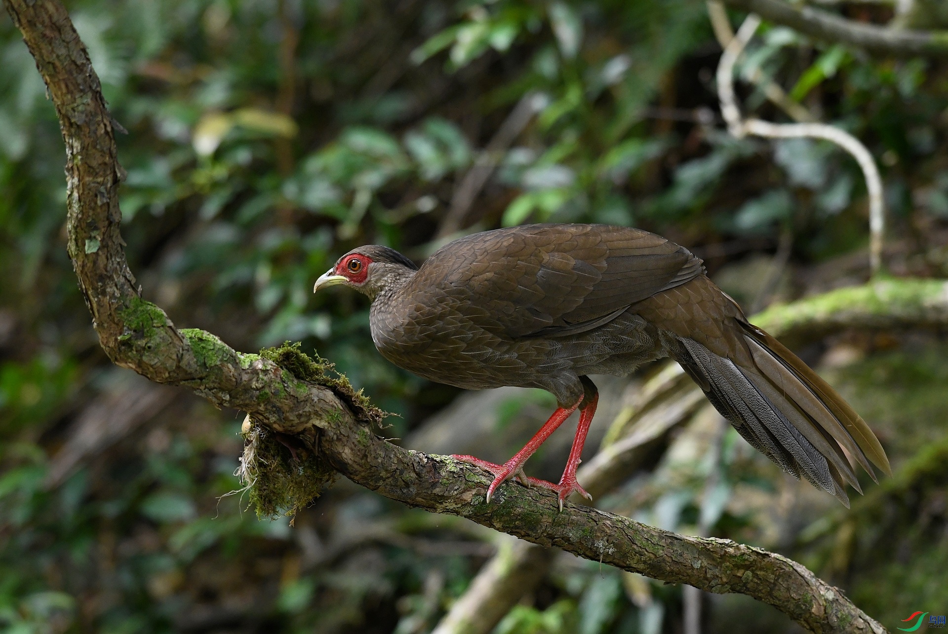DSC_2563.jpg