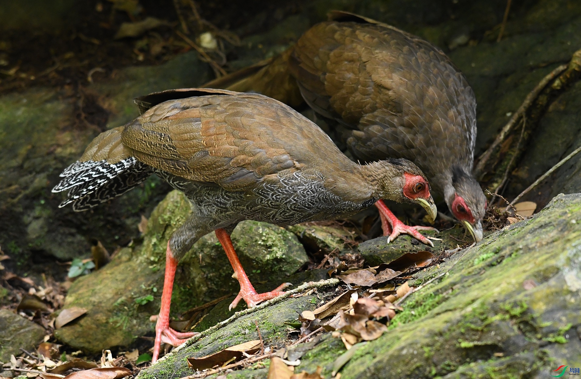 DSC_2680.jpg