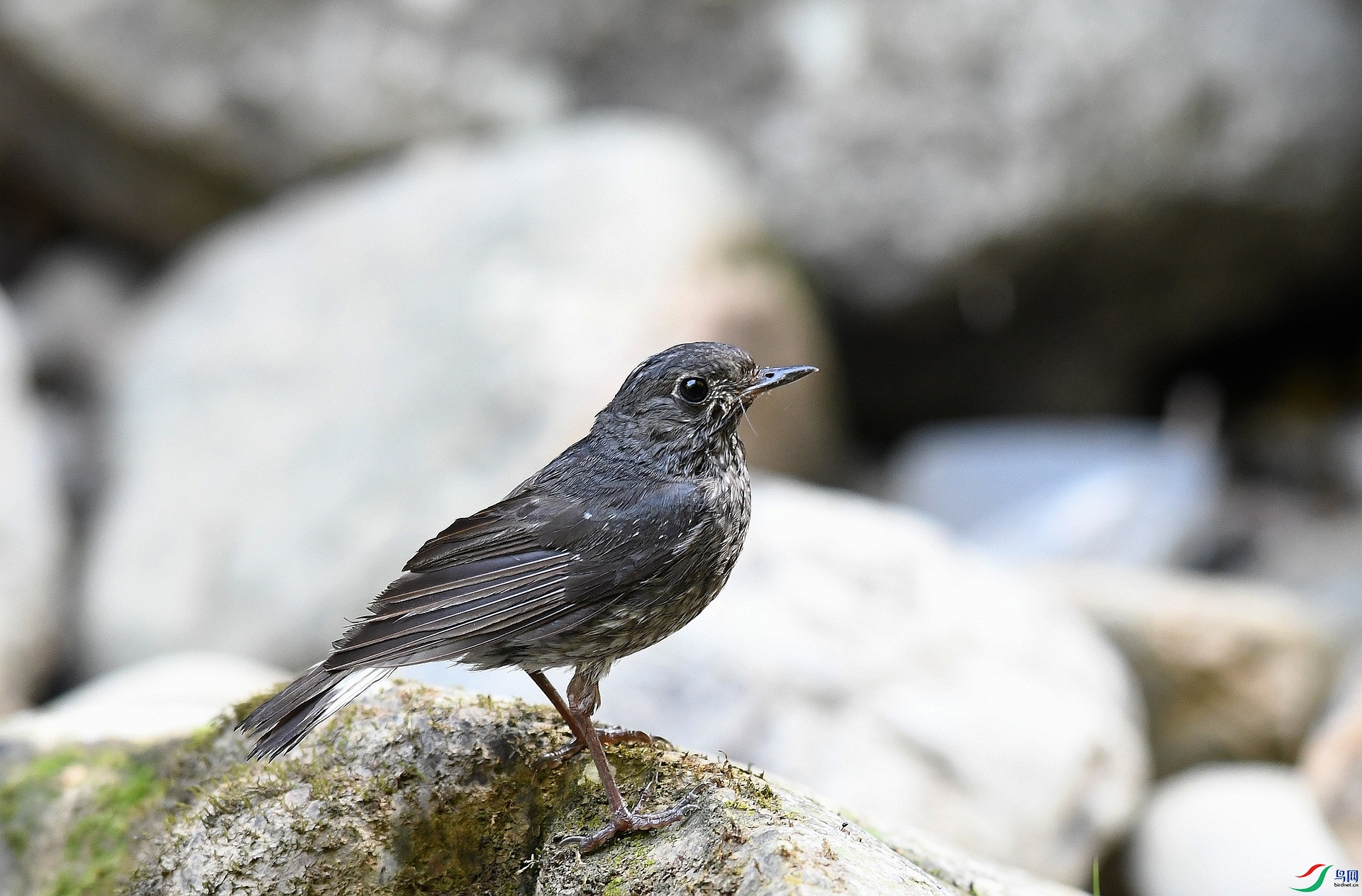 DSC_3590.jpg