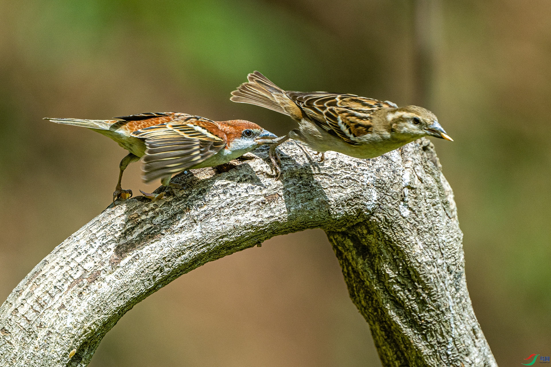 DSC_9067.jpg