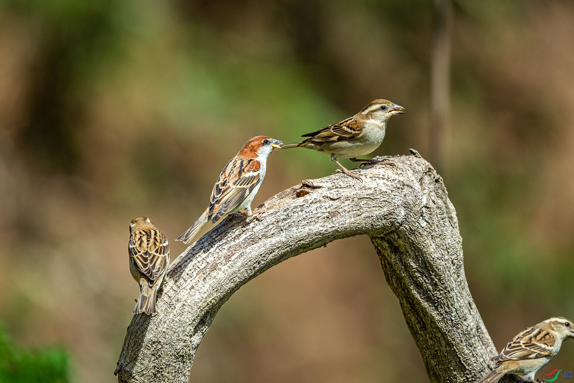DSC_9083.jpg