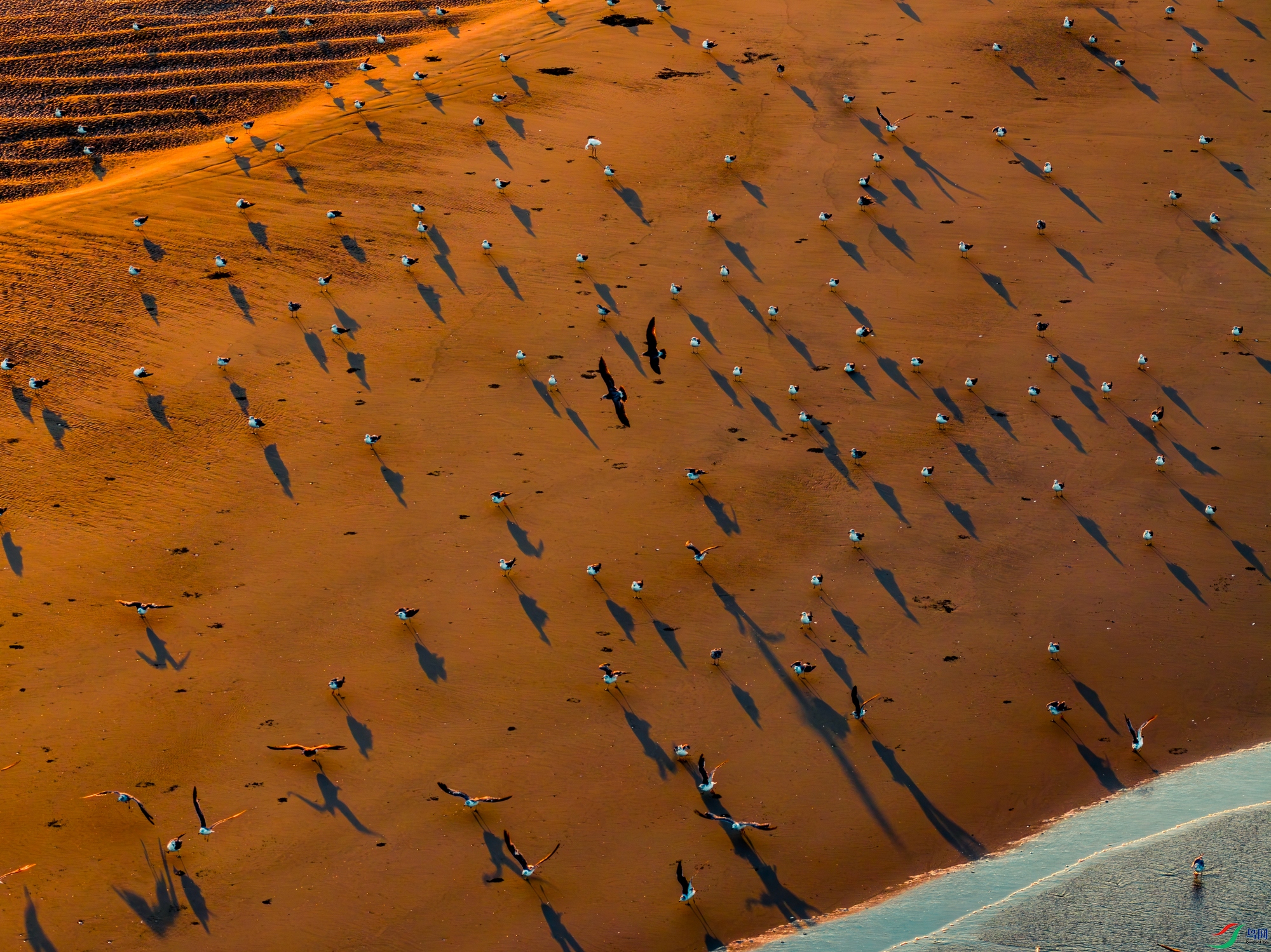 DJI_20250819180316_0159_С.jpg