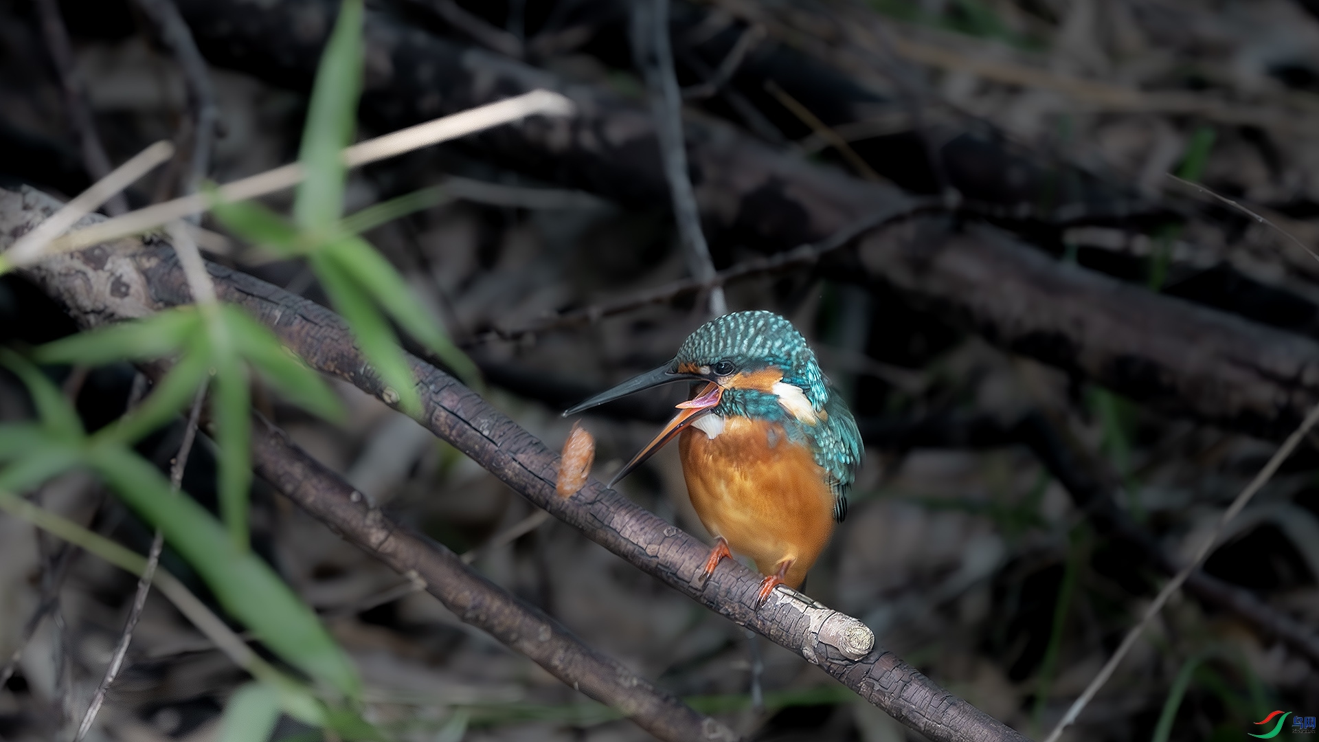 DSC_5763-����ǿ-���� ����.jpg
