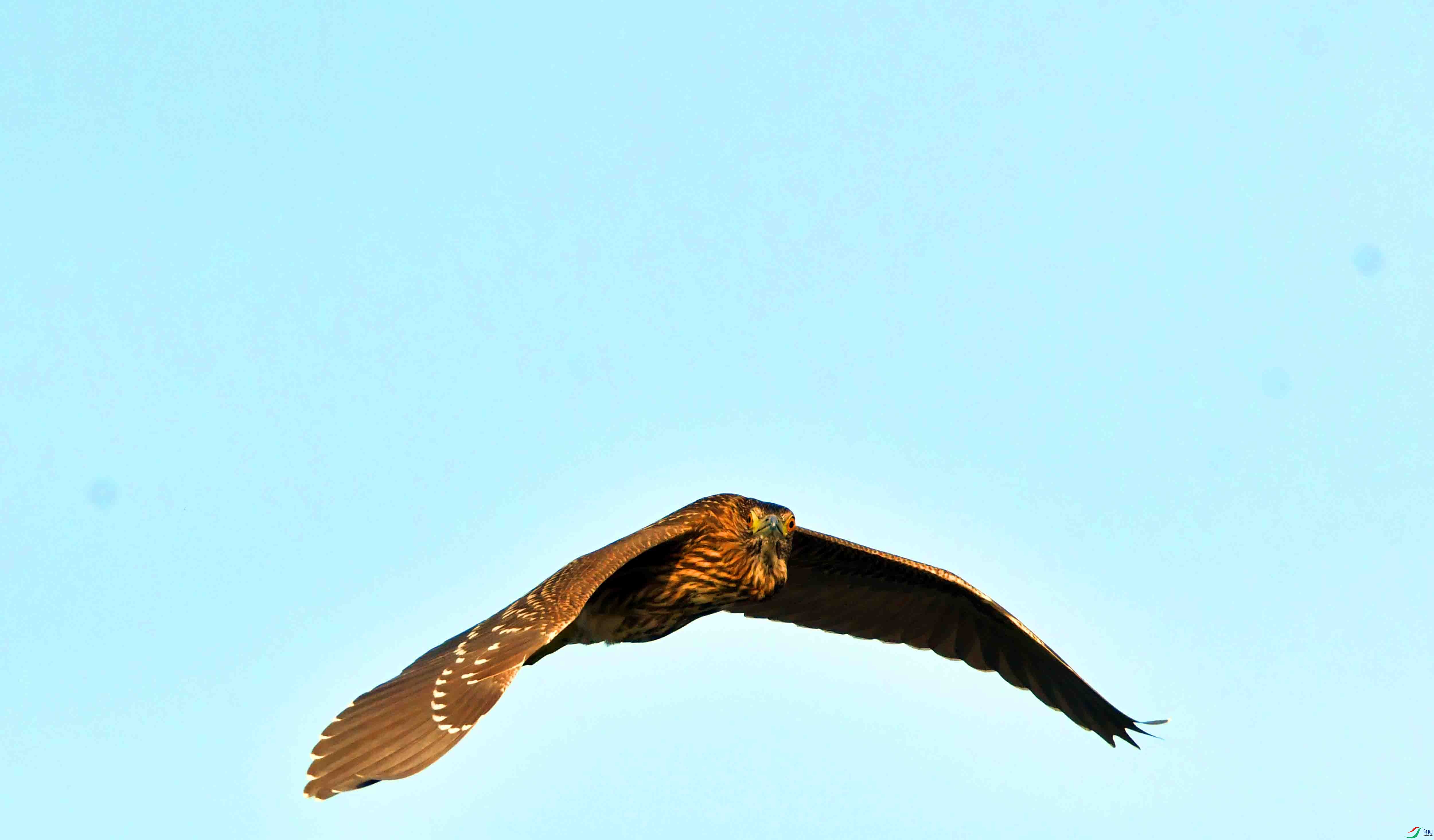 DSC_0308.JPG