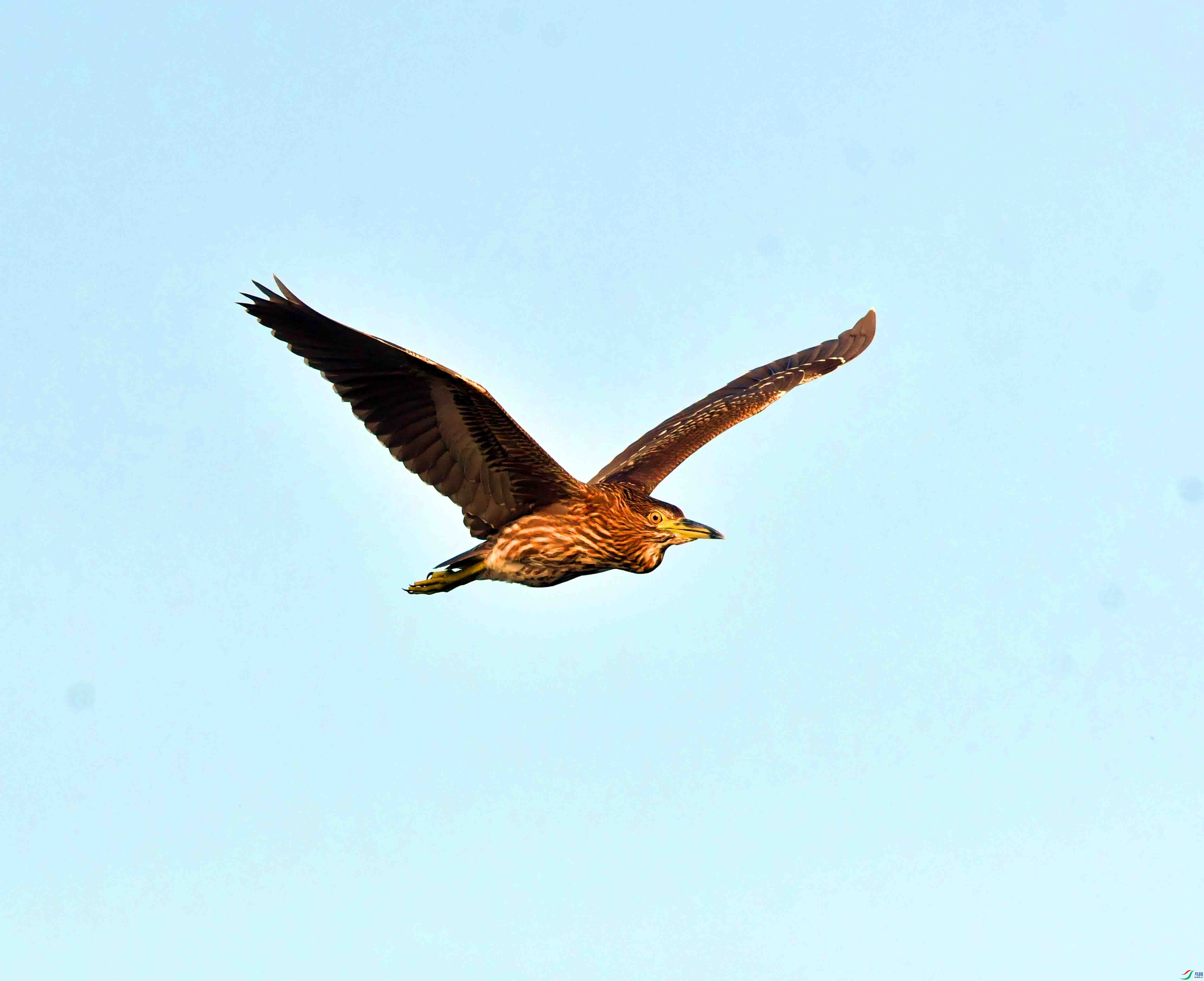 DSC_0306.JPG