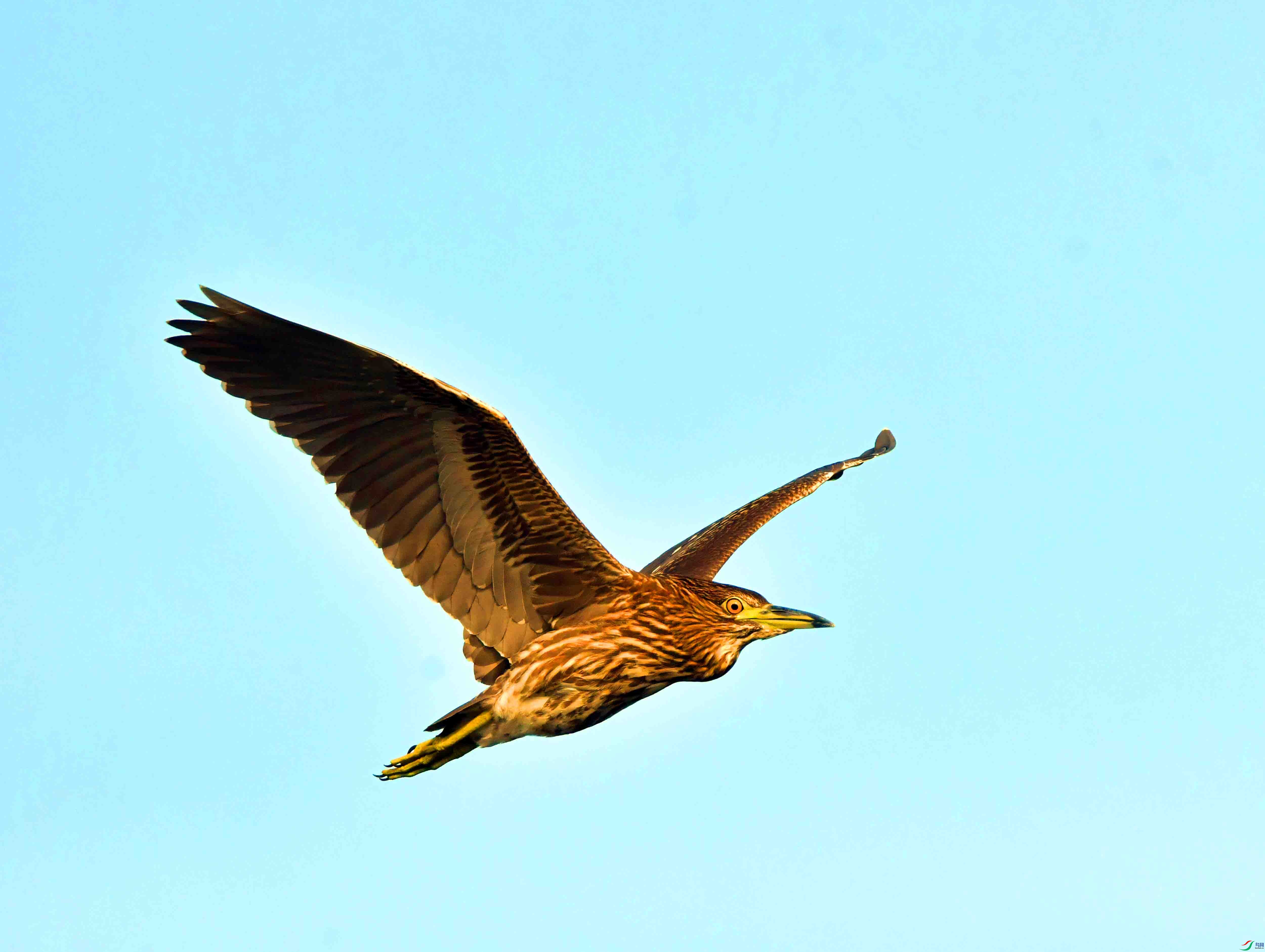 DSC_0312.JPG