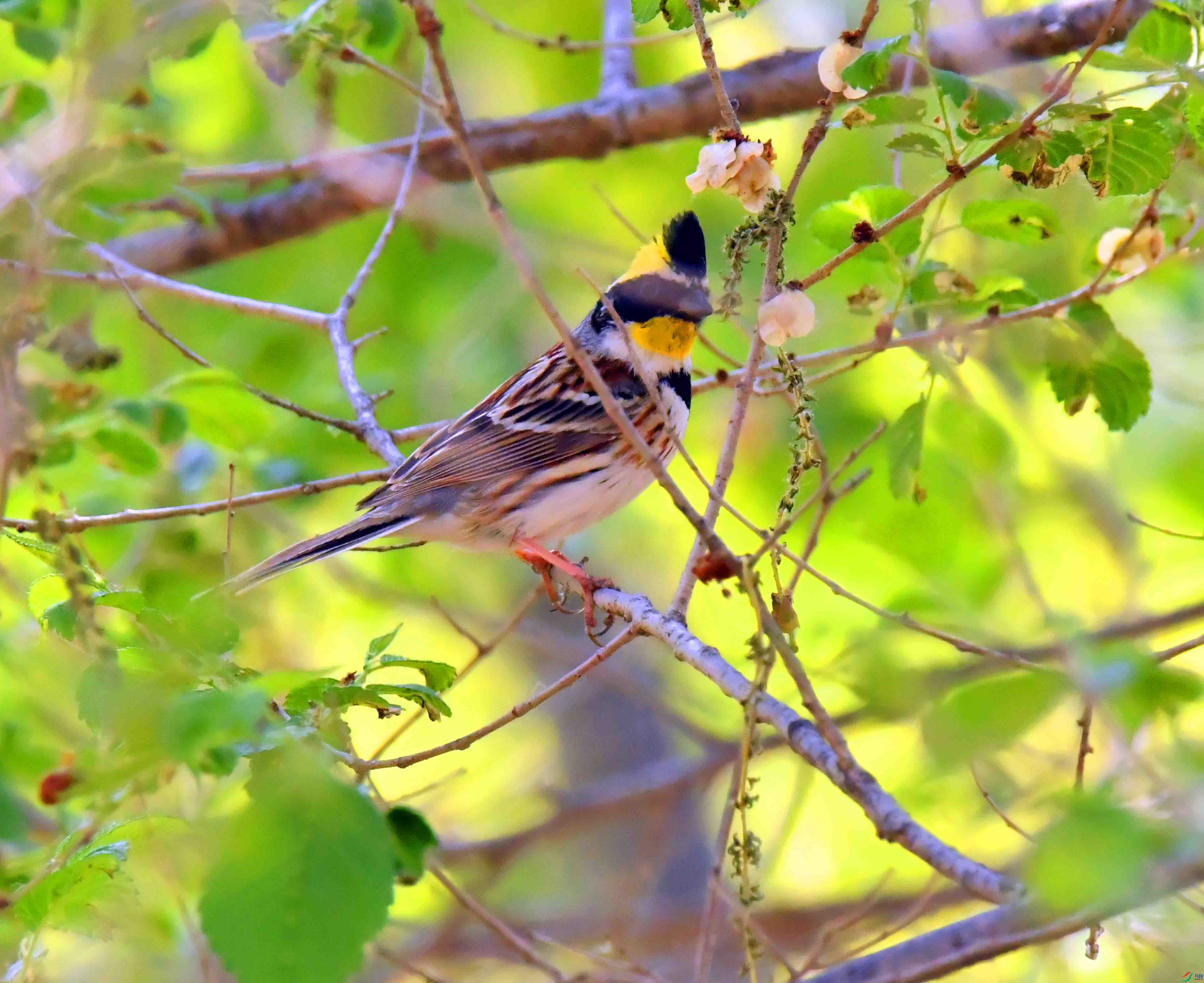 DSC_0274.JPG